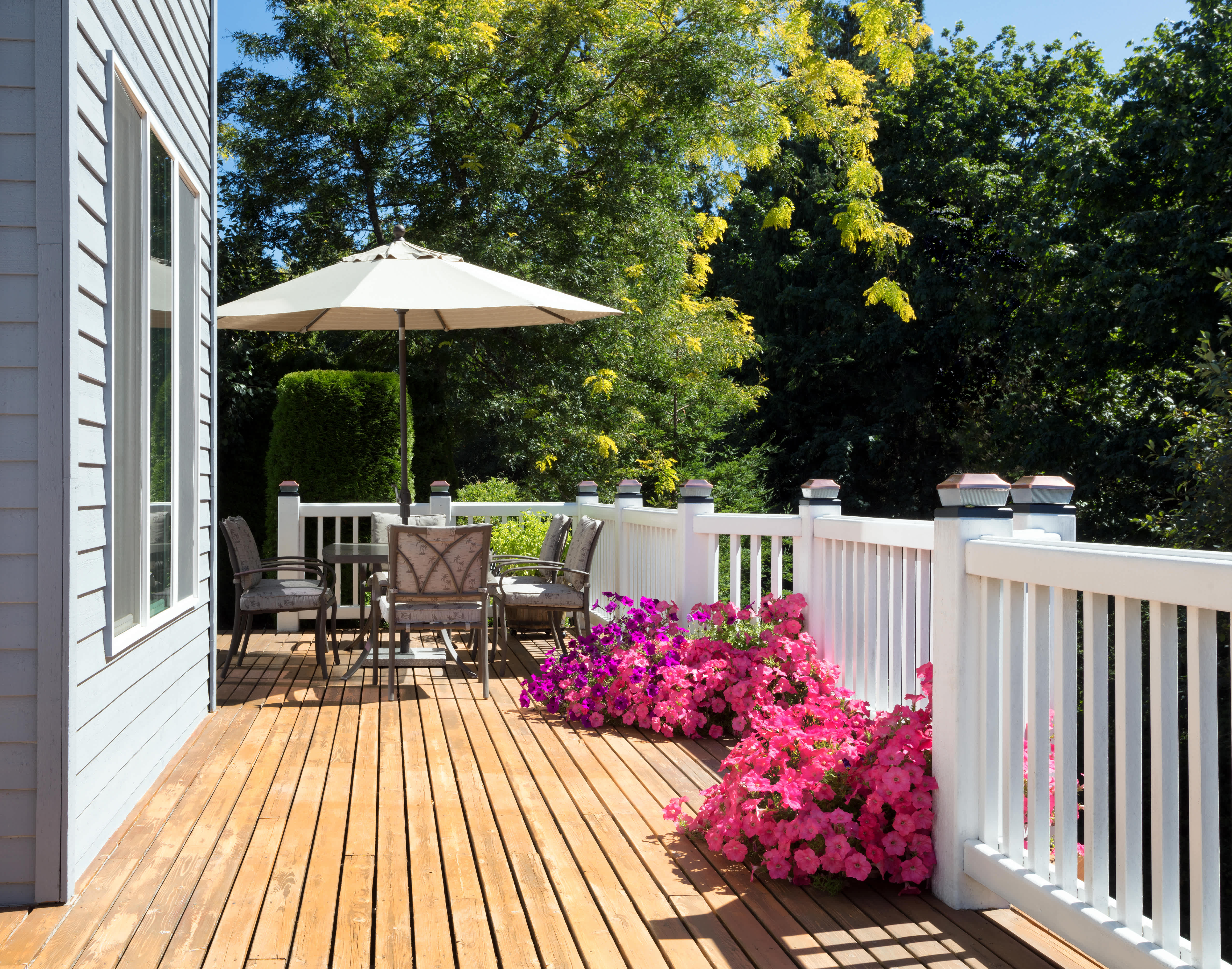 A cedar deck shines under the summer sun