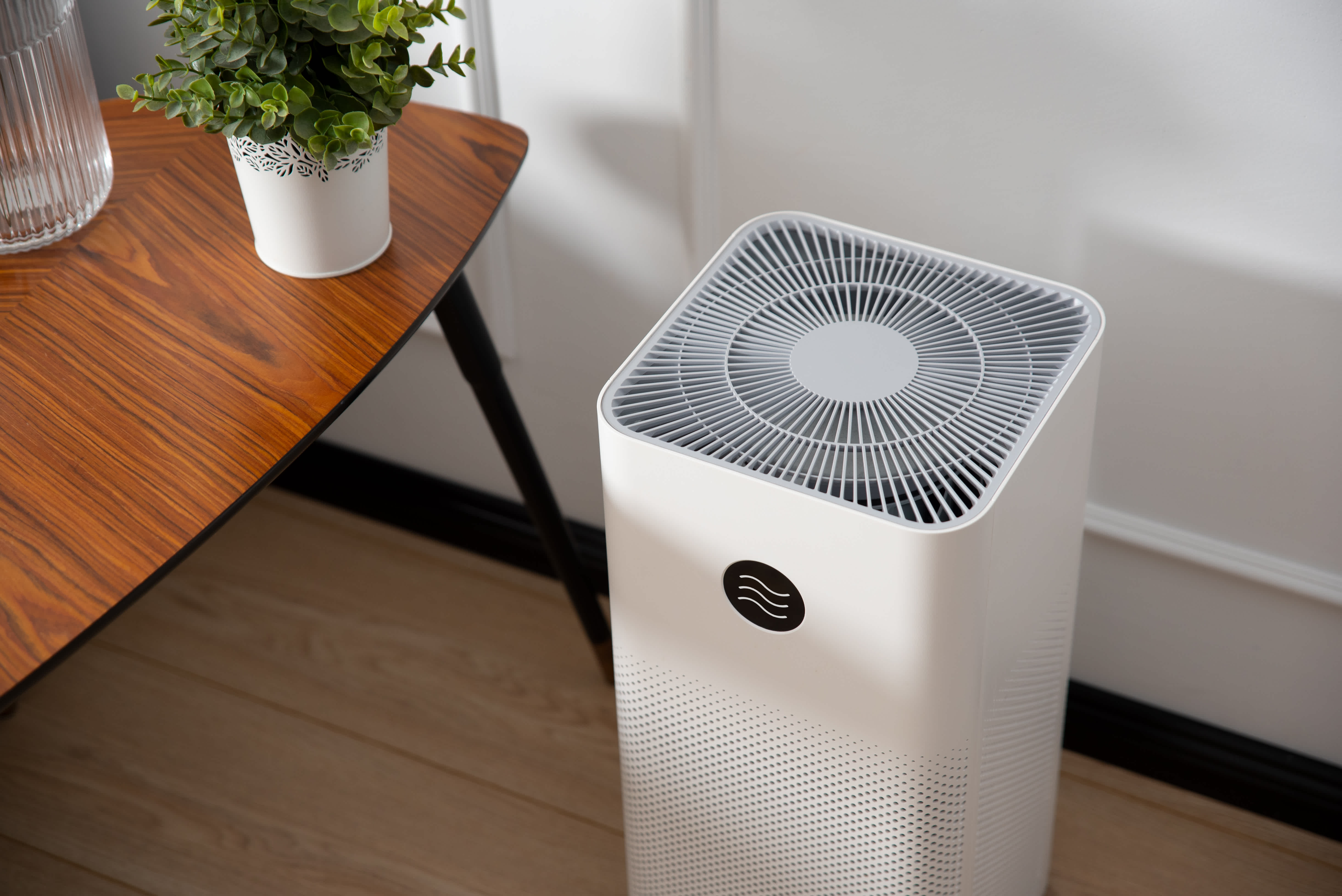 Air purifier in living room