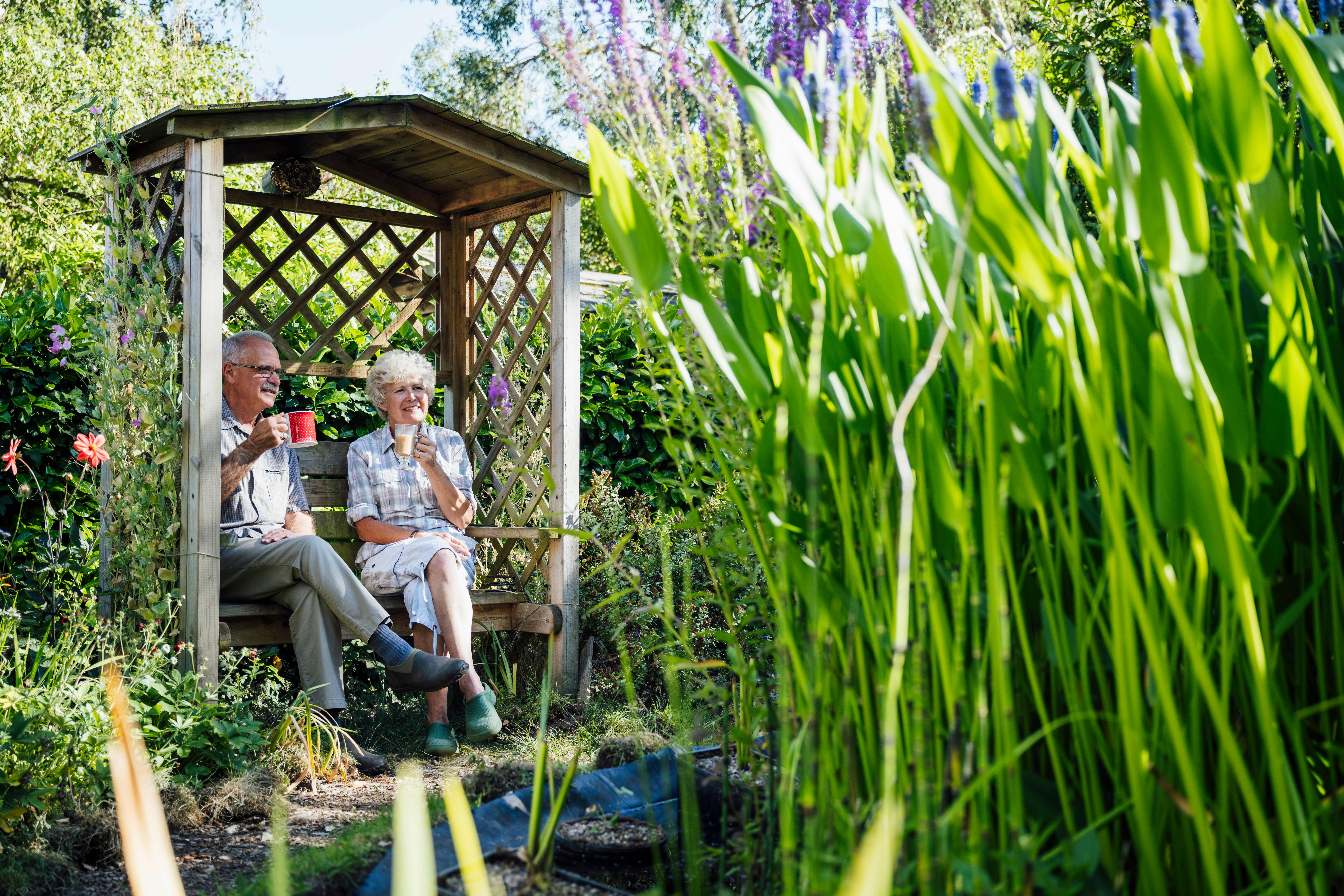 A senior couple enjoying their time while sitting underneath a wooden arbor