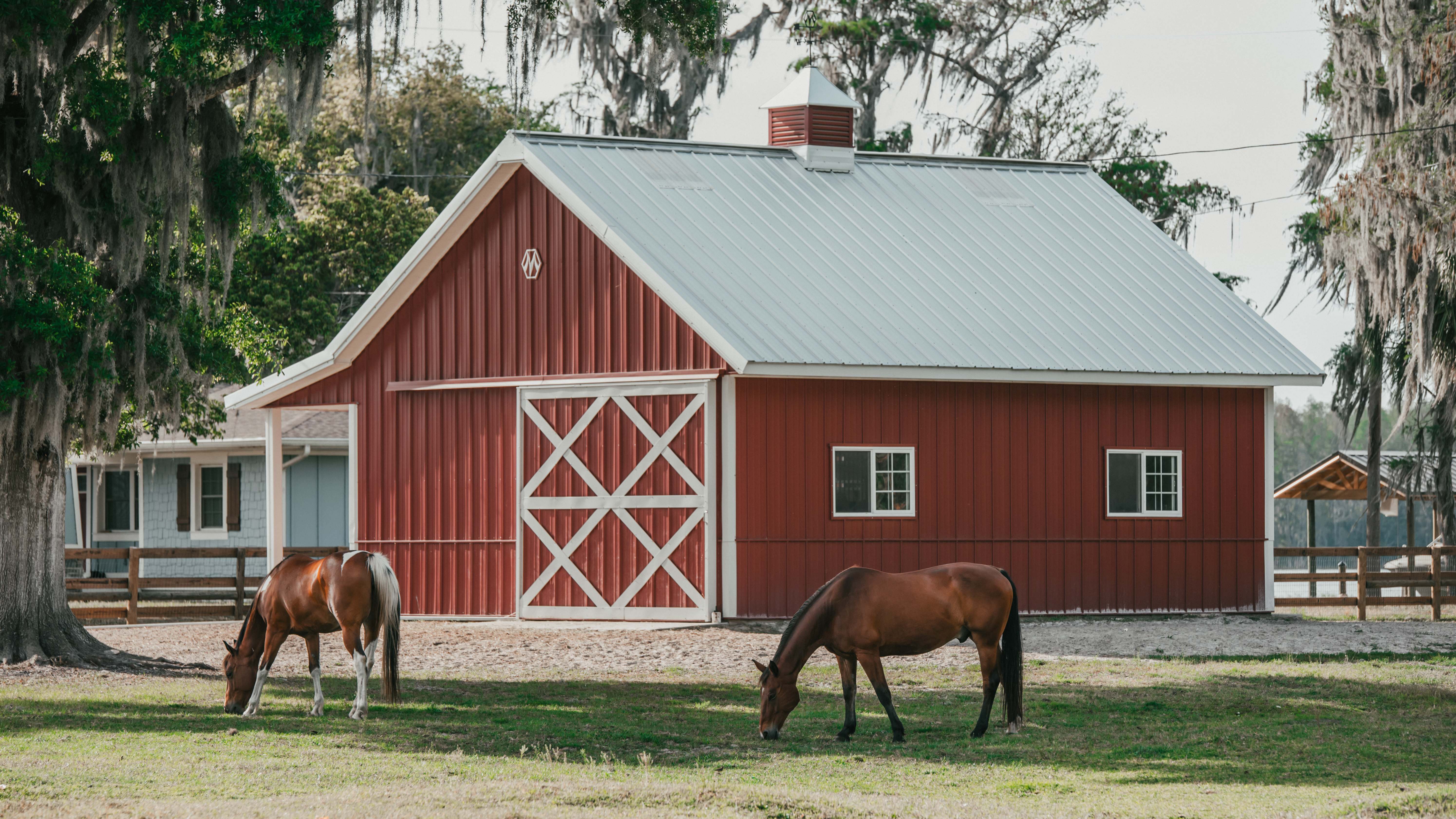 Two horses grazing in front of a red metal pole barn with a white roof on a farm