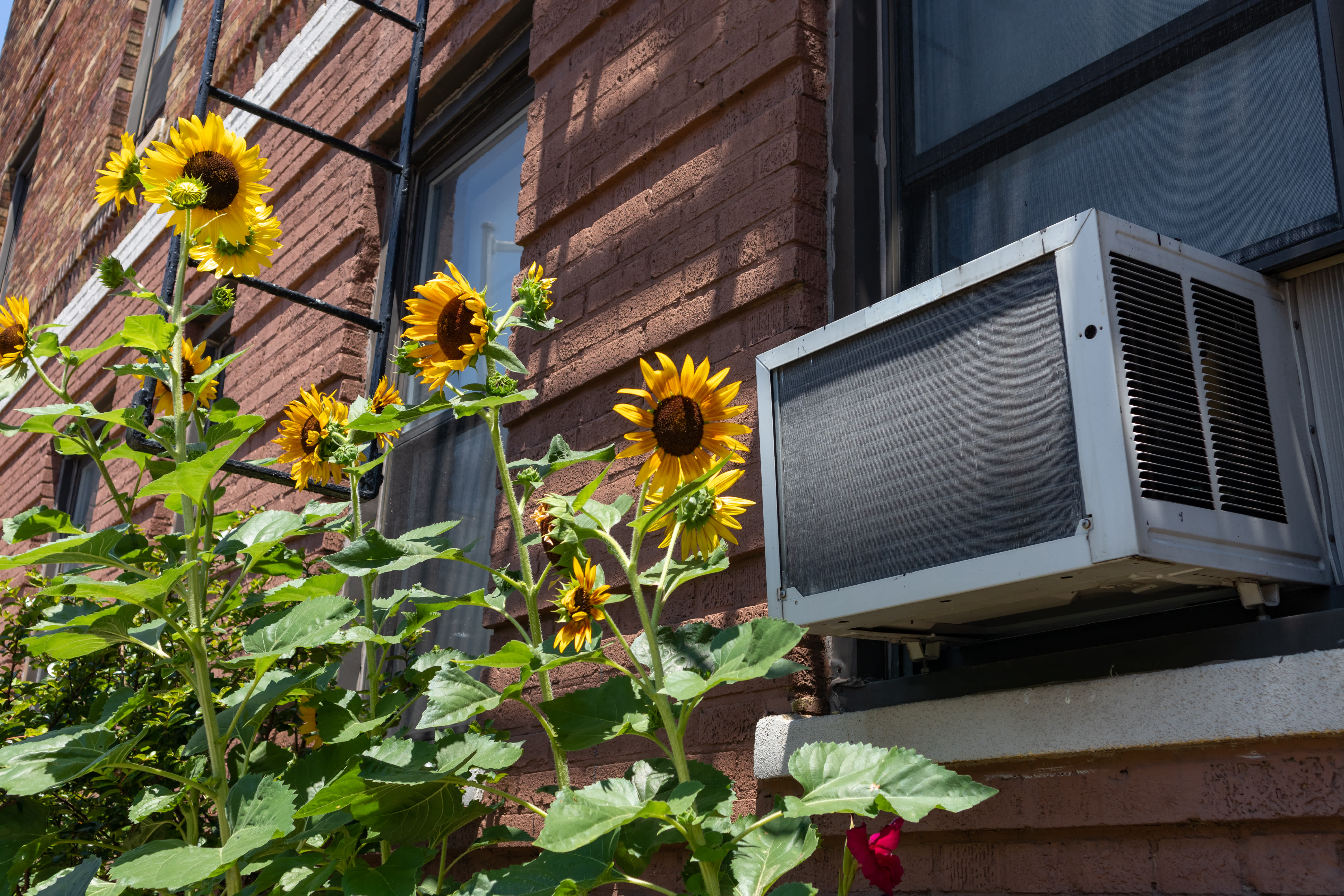 Window AC Maintenance Checklist | Angi