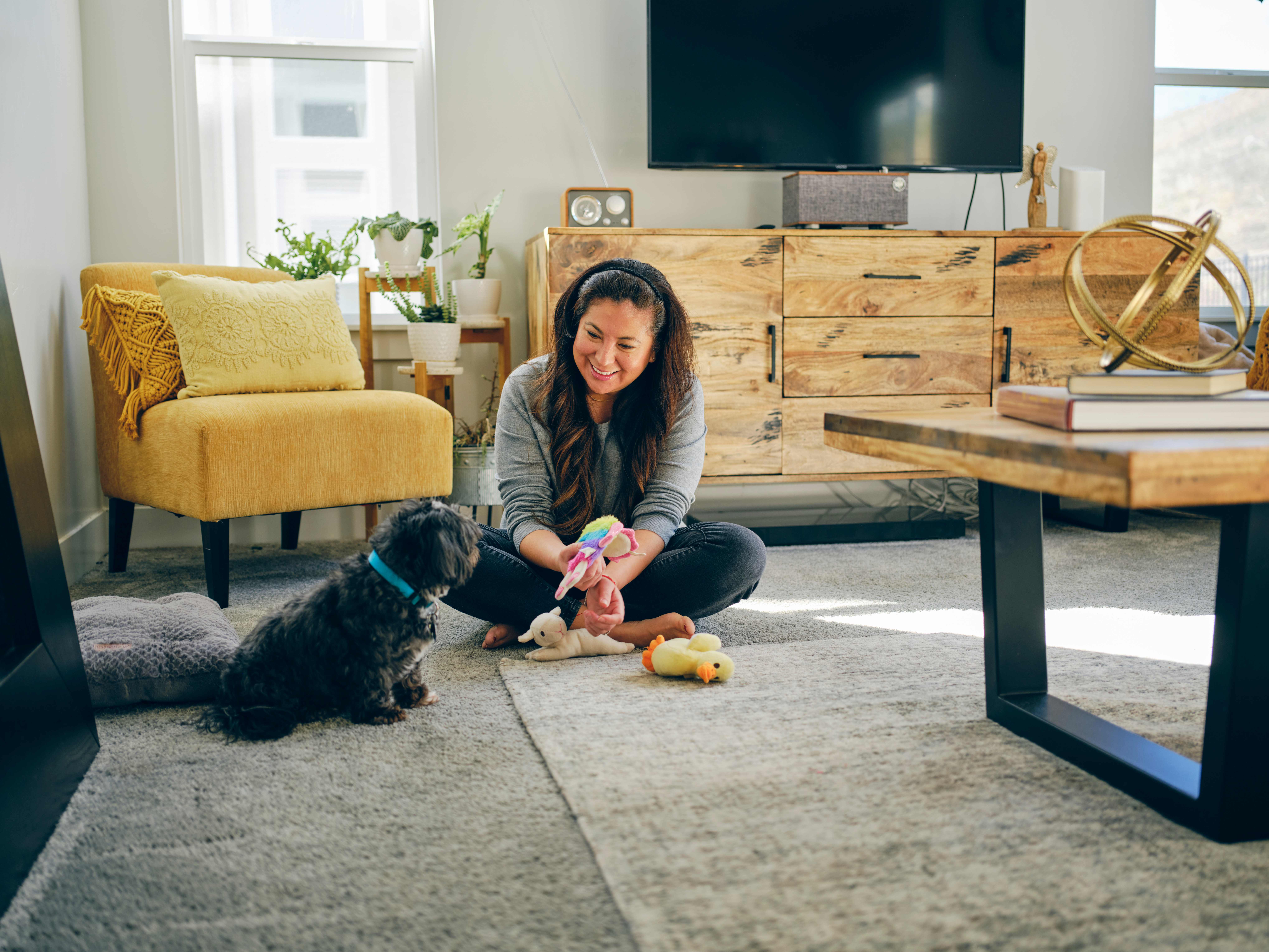 Woman sitting on the carpet in her living room smiling and playing with her small dog using toys.