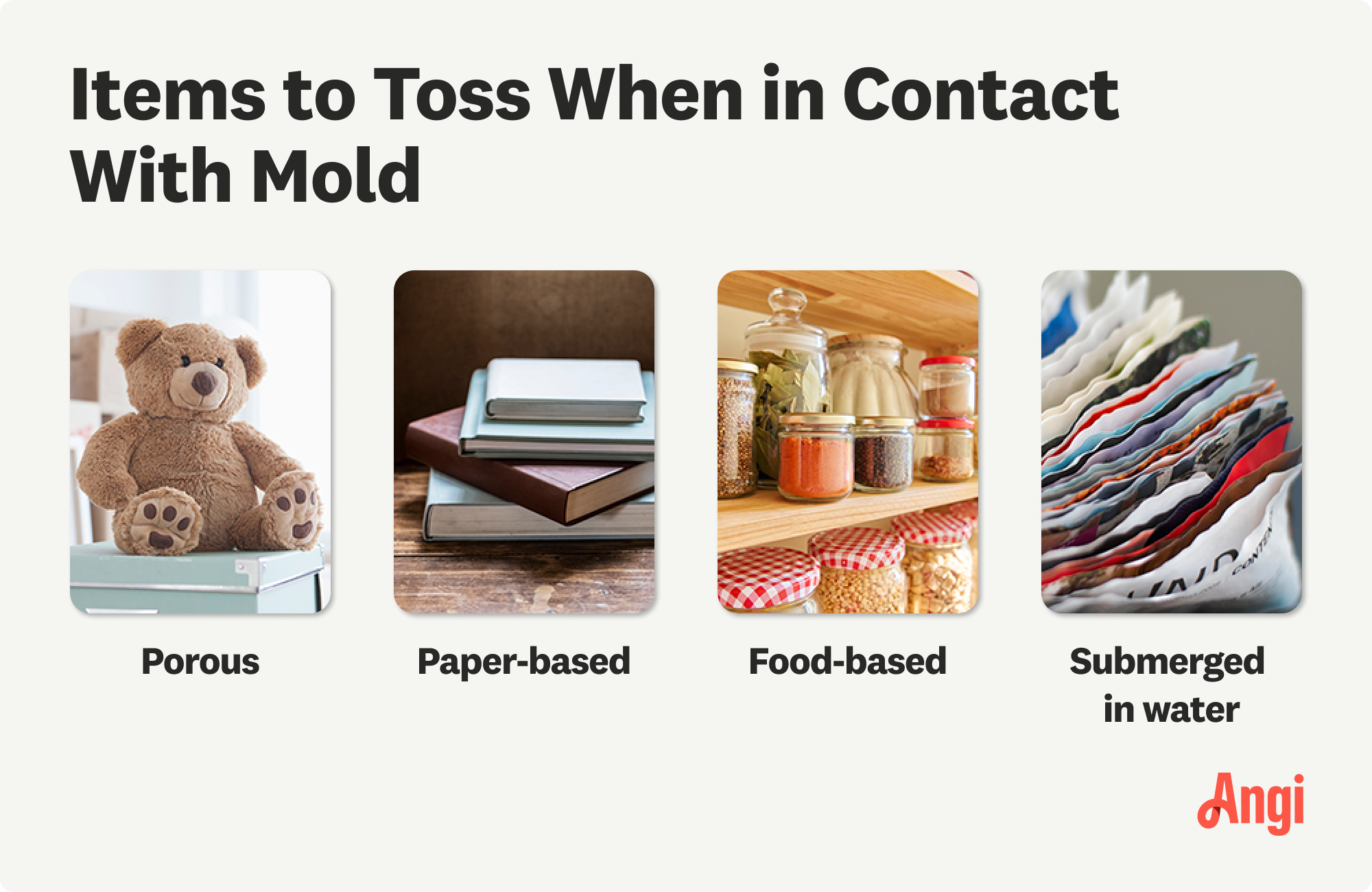 4 types of belongings to toss when damaged by mold, including things that are porous, paper, and submerged in water