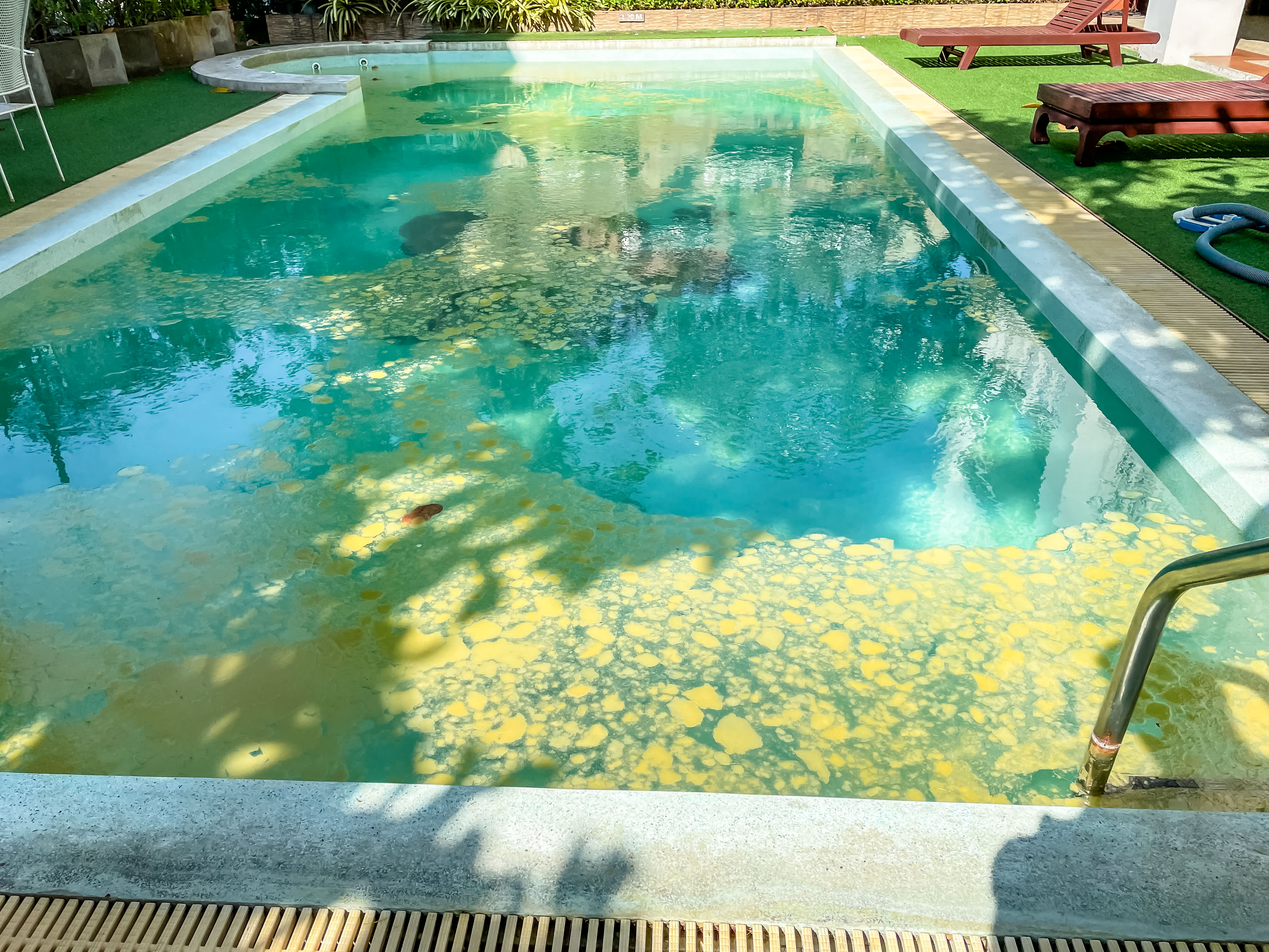 Swimming pool with moss and fungus