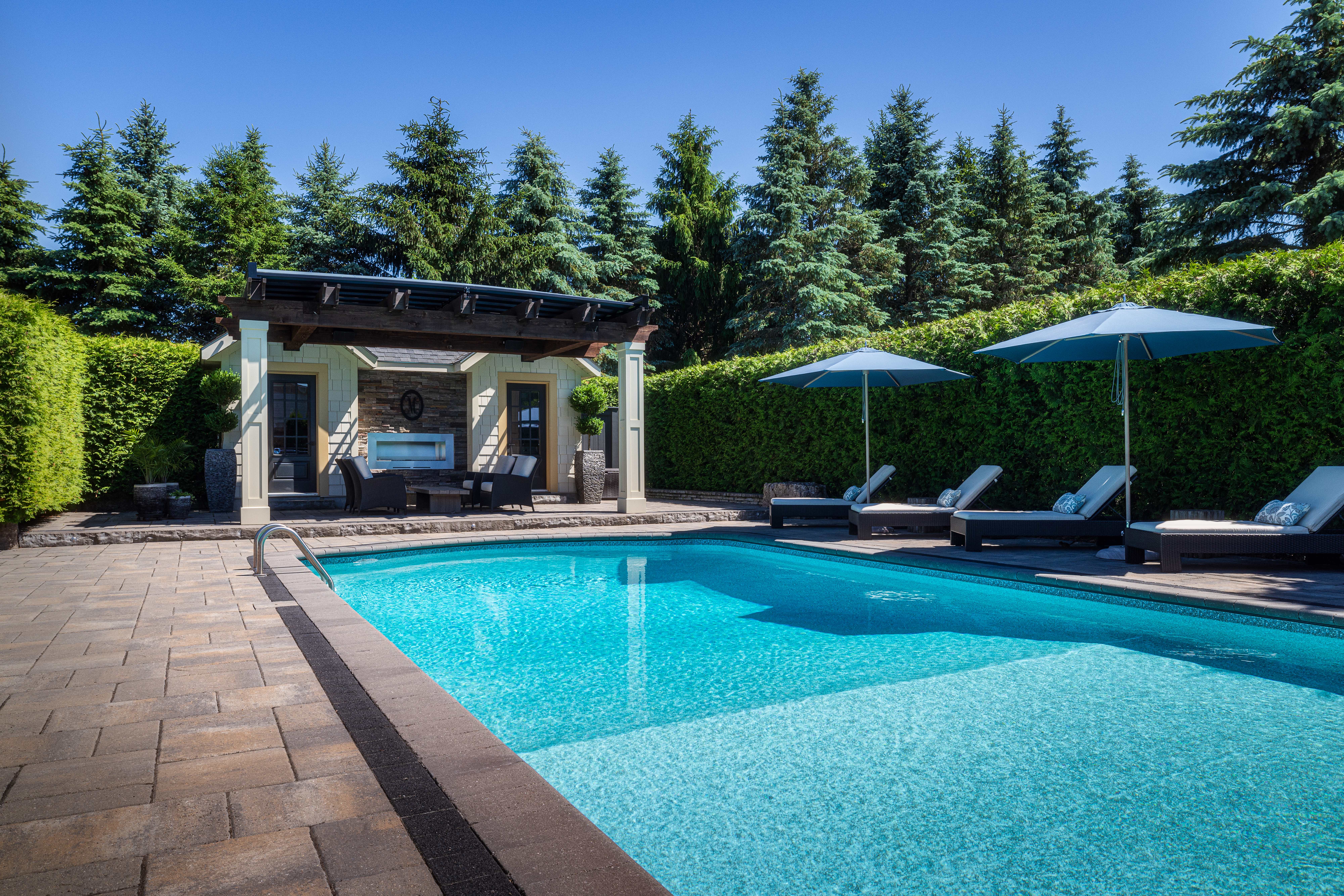Luxury pool surrounded by tall hedges