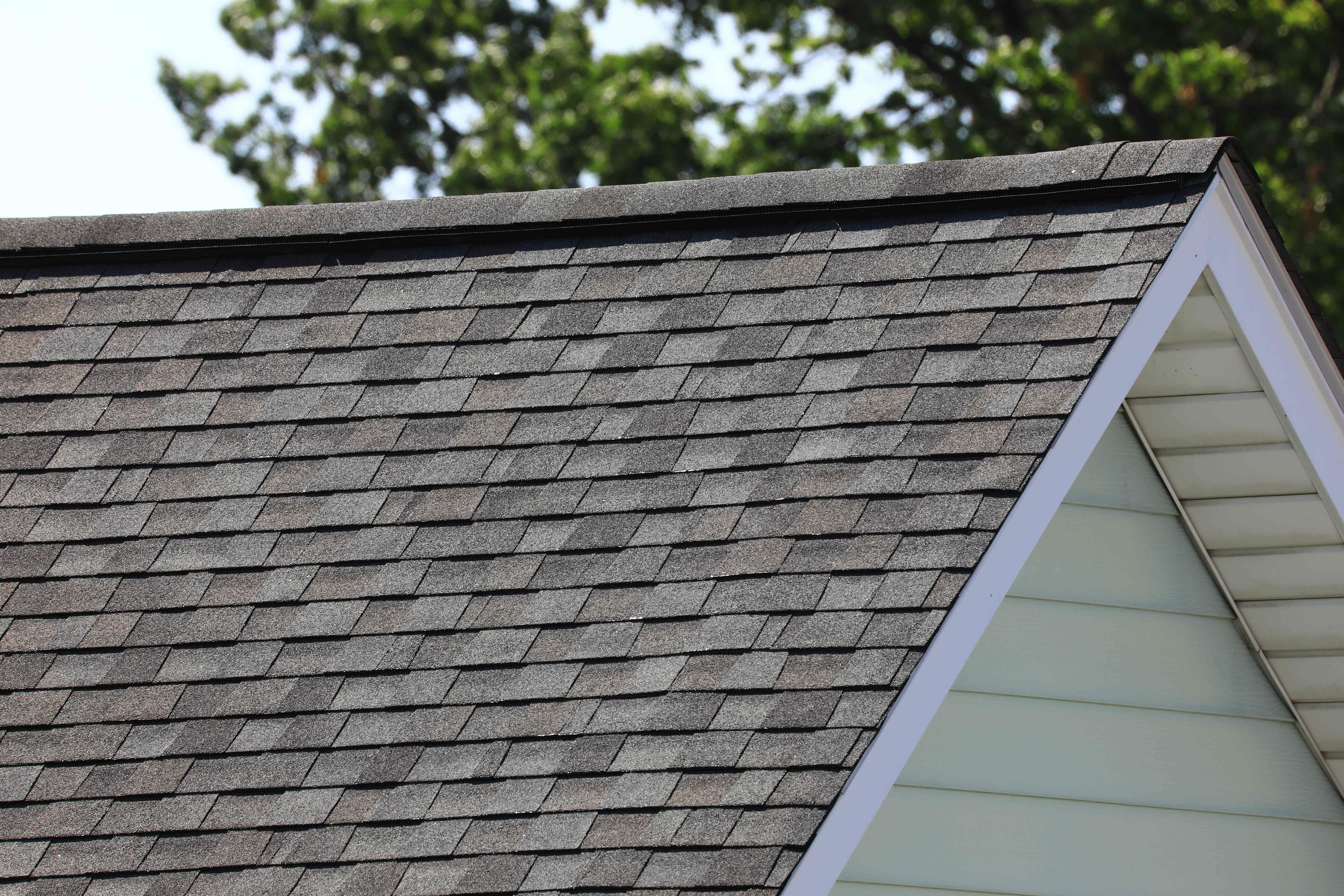 Asphalt roof shingles