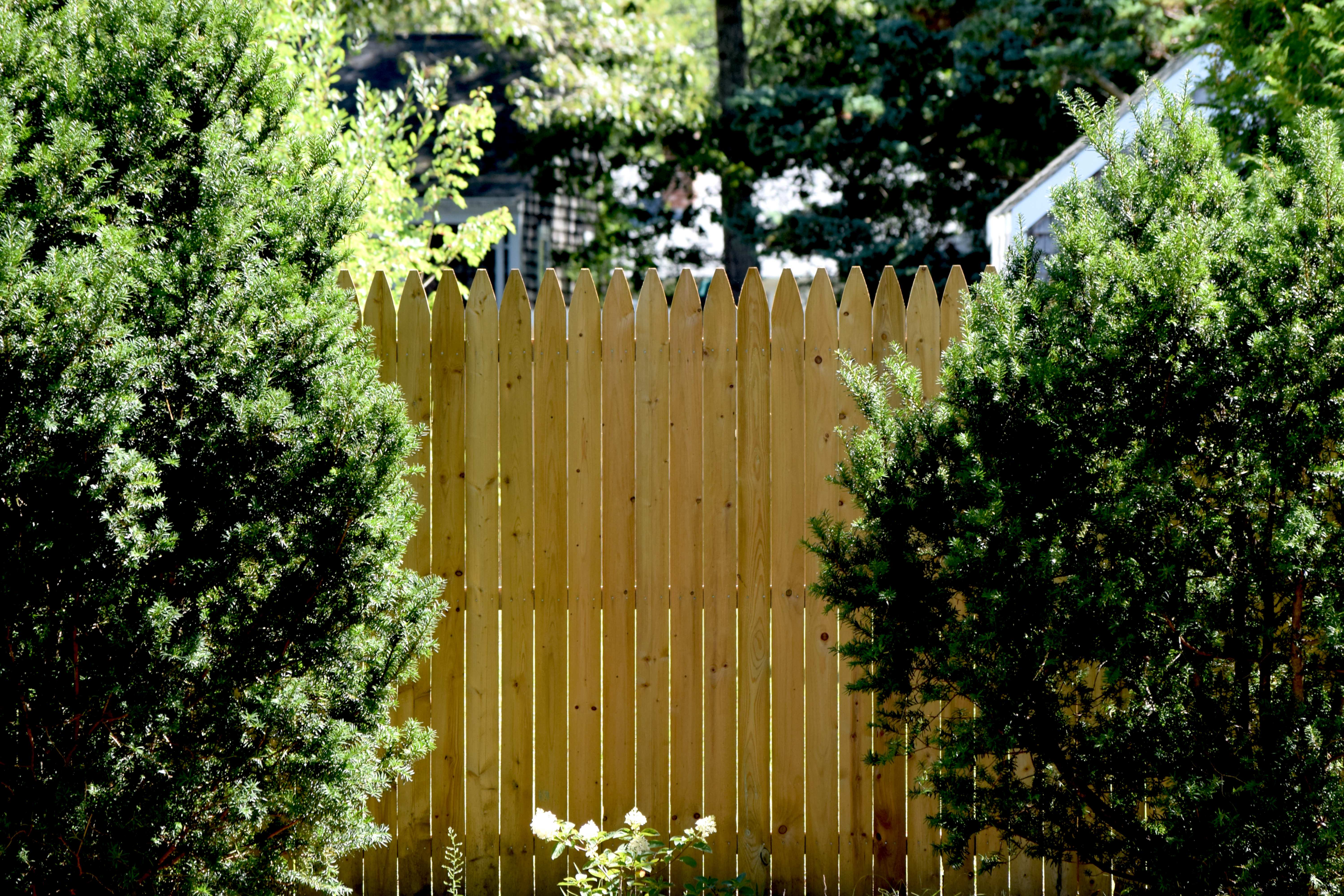 Wooden garden fence