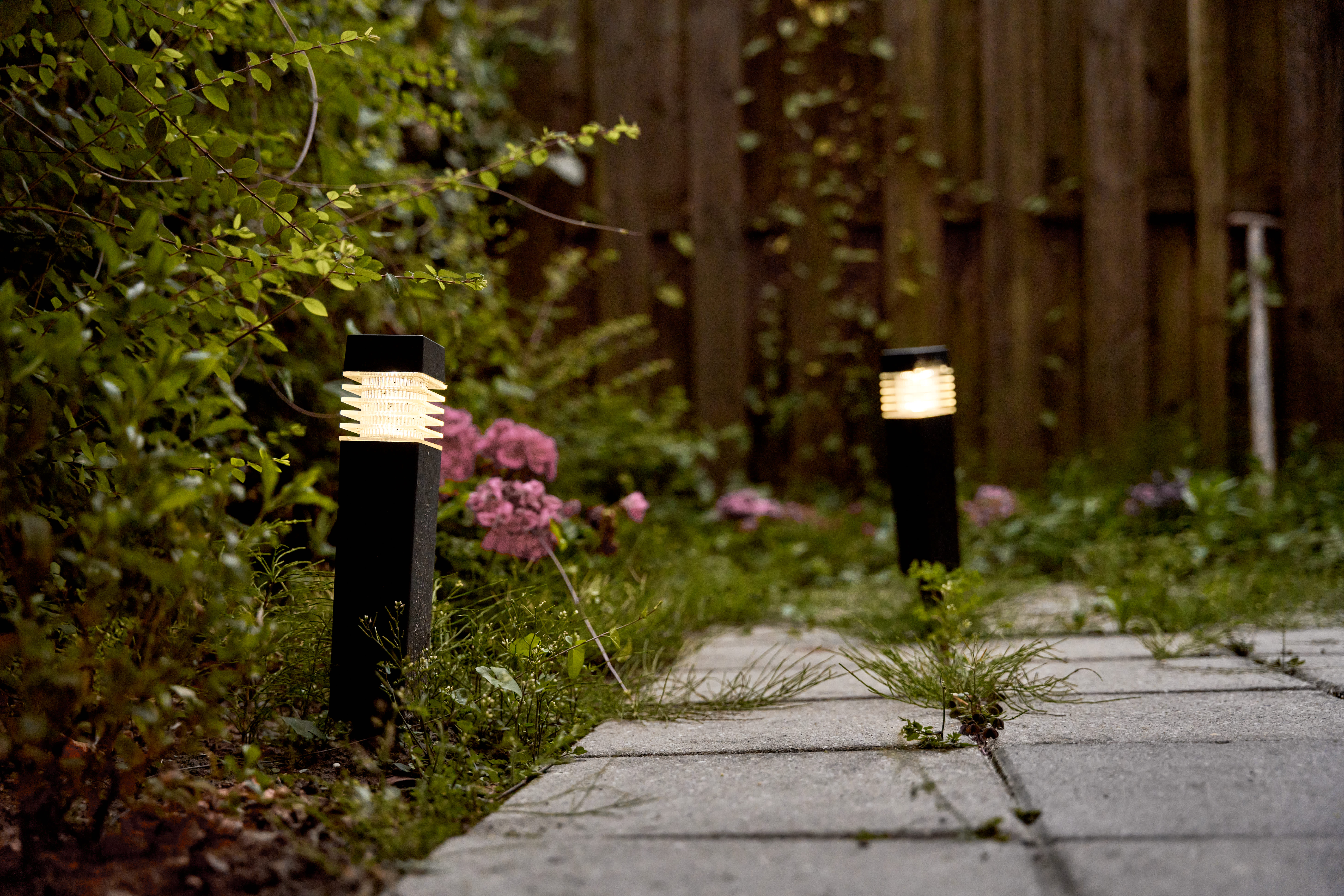 Solar garden lamp in backyard