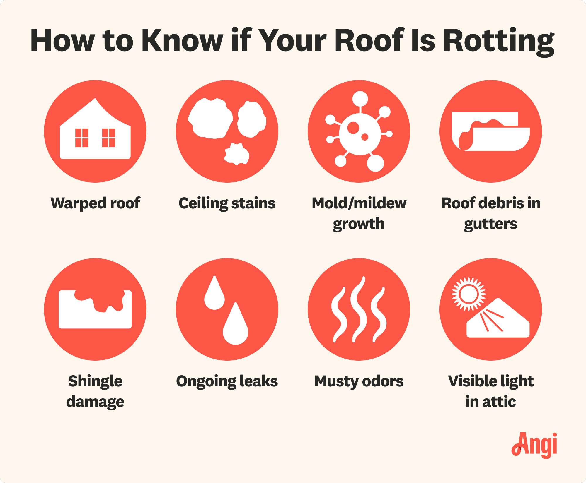 8 signs of roof rotting, including a warped roof, roof debris in gutters, and visible light in attic