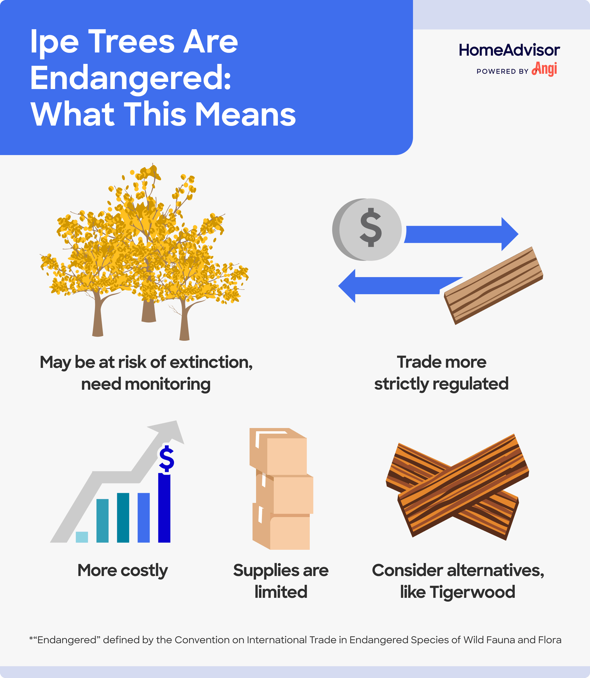 Endangered Ipe trees and what it means illustrated, explaining that less trees available eventually leads to limited supplies for your project