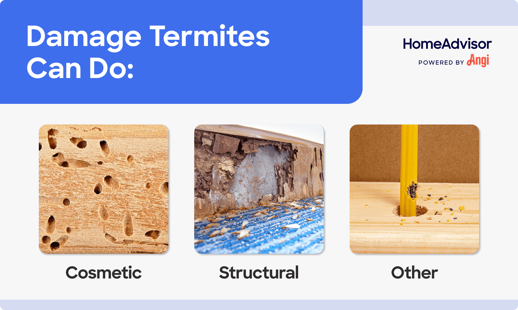 3 termite damage types compared visually, including cosmetic and structural
