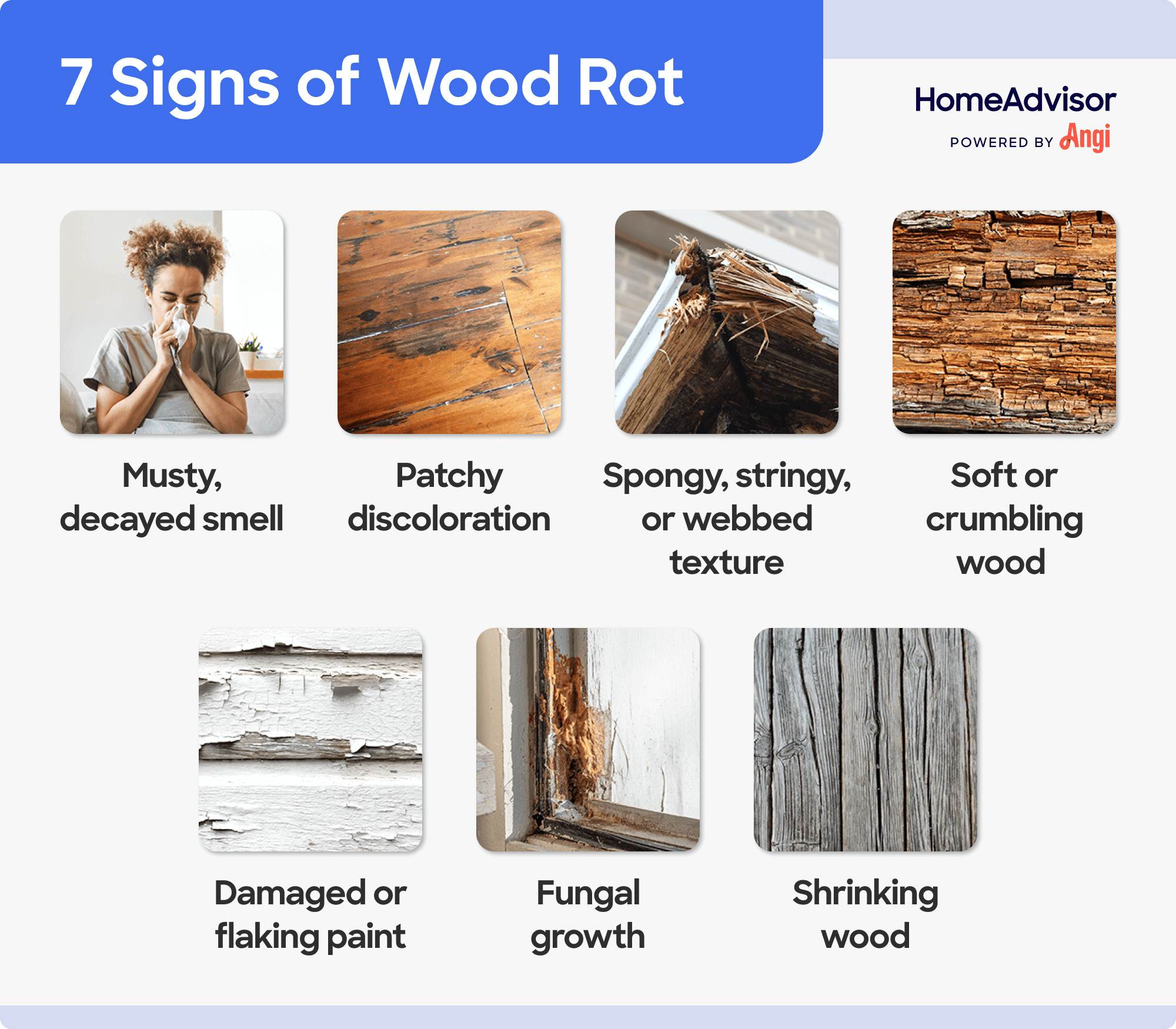 7 wood rot signs visually compared, including patchy discoloration and damaged or flaking paint