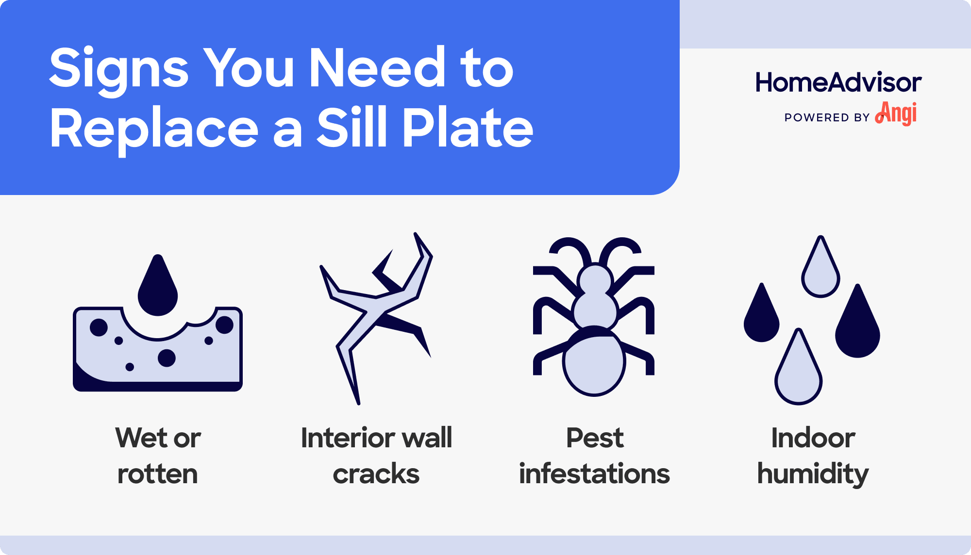 4 signs you need to replace a sill plate, including rotten wood, interior cracks, pest infestations, and indoor humidity