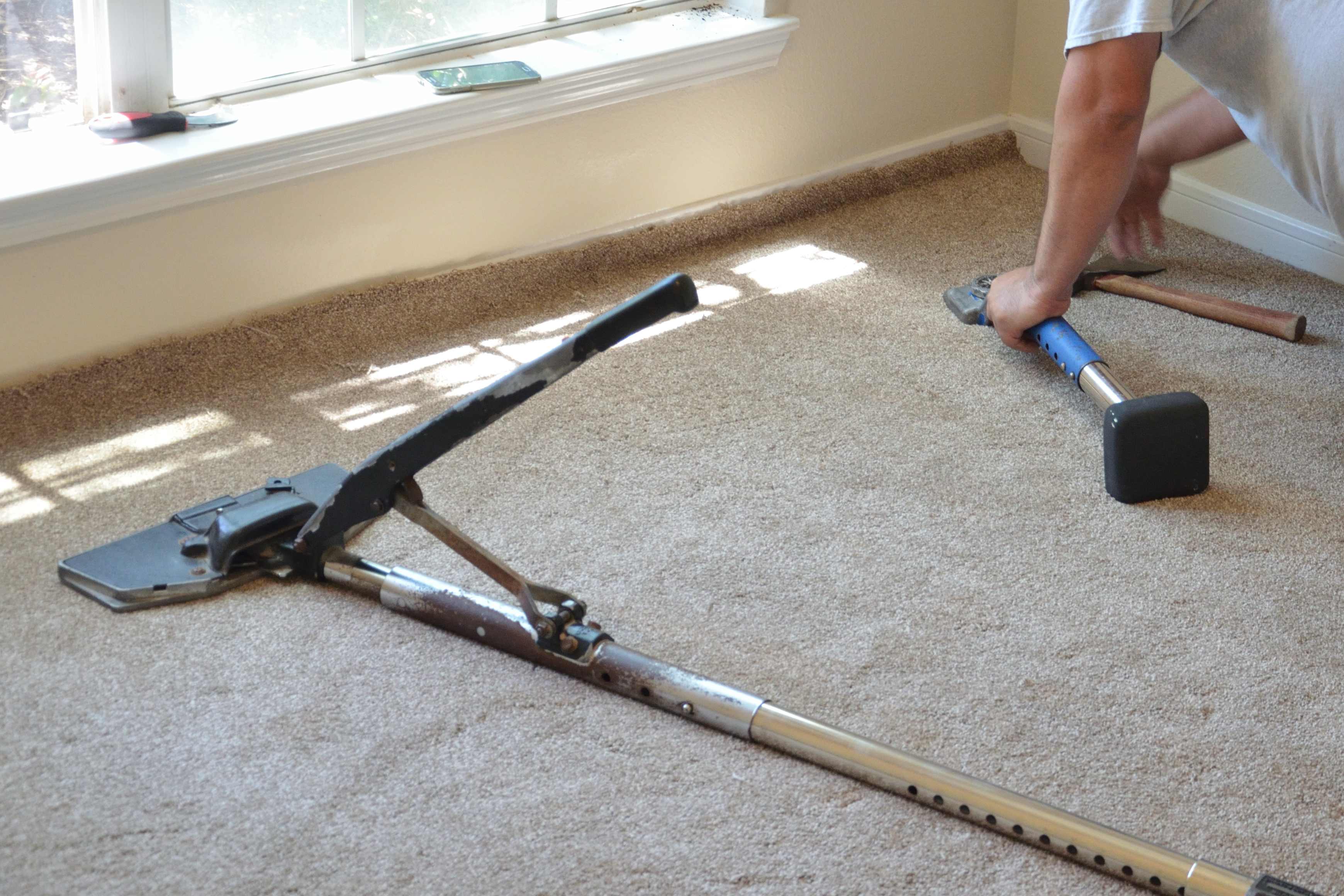 A professional installing a carpet in a room