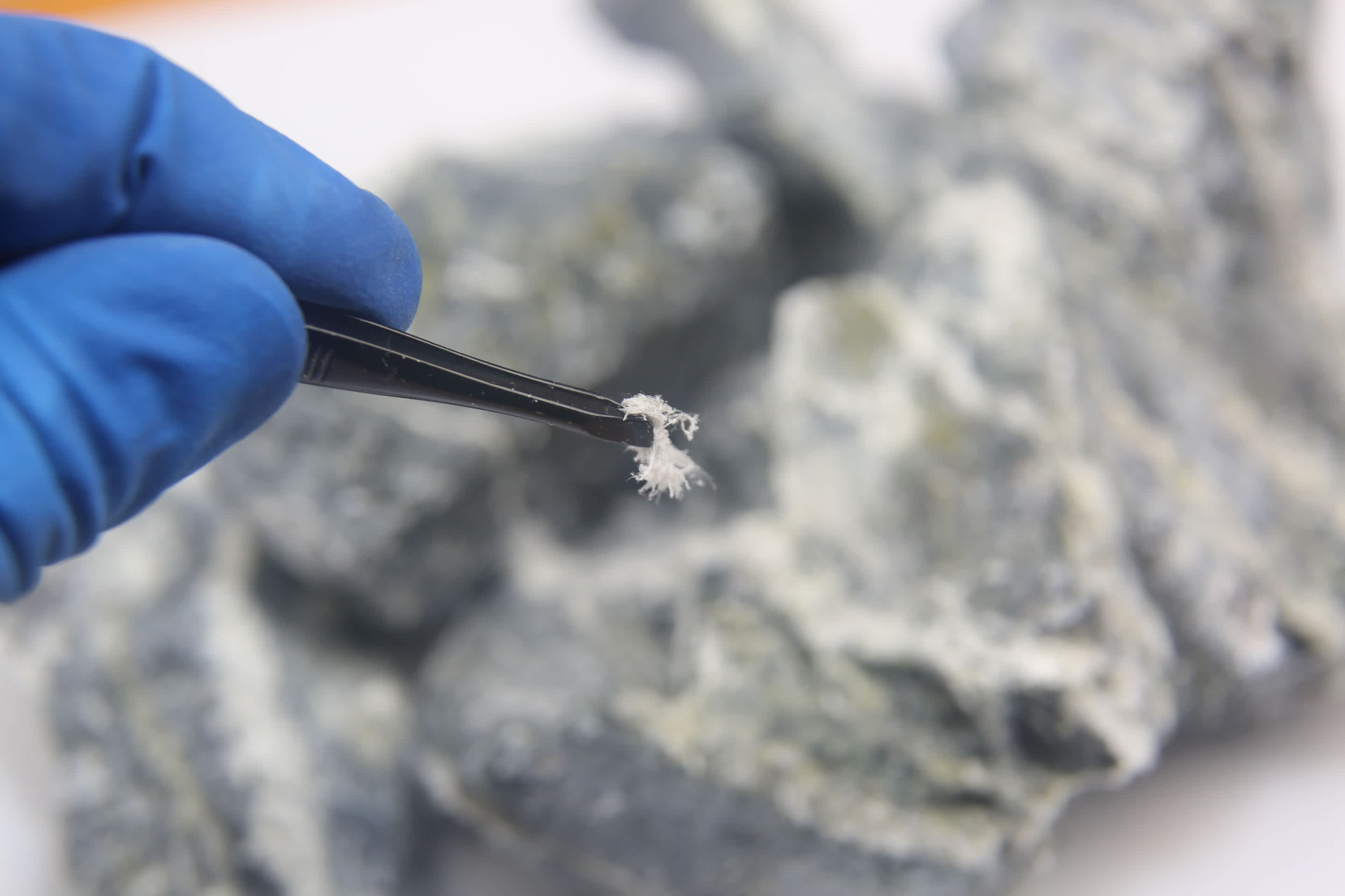 An asbestos fiber sample