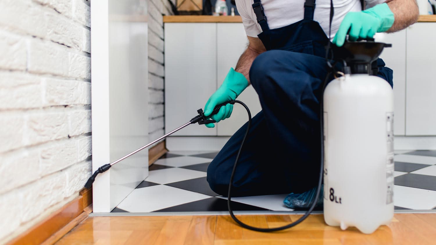 exterminator spraying pesticide