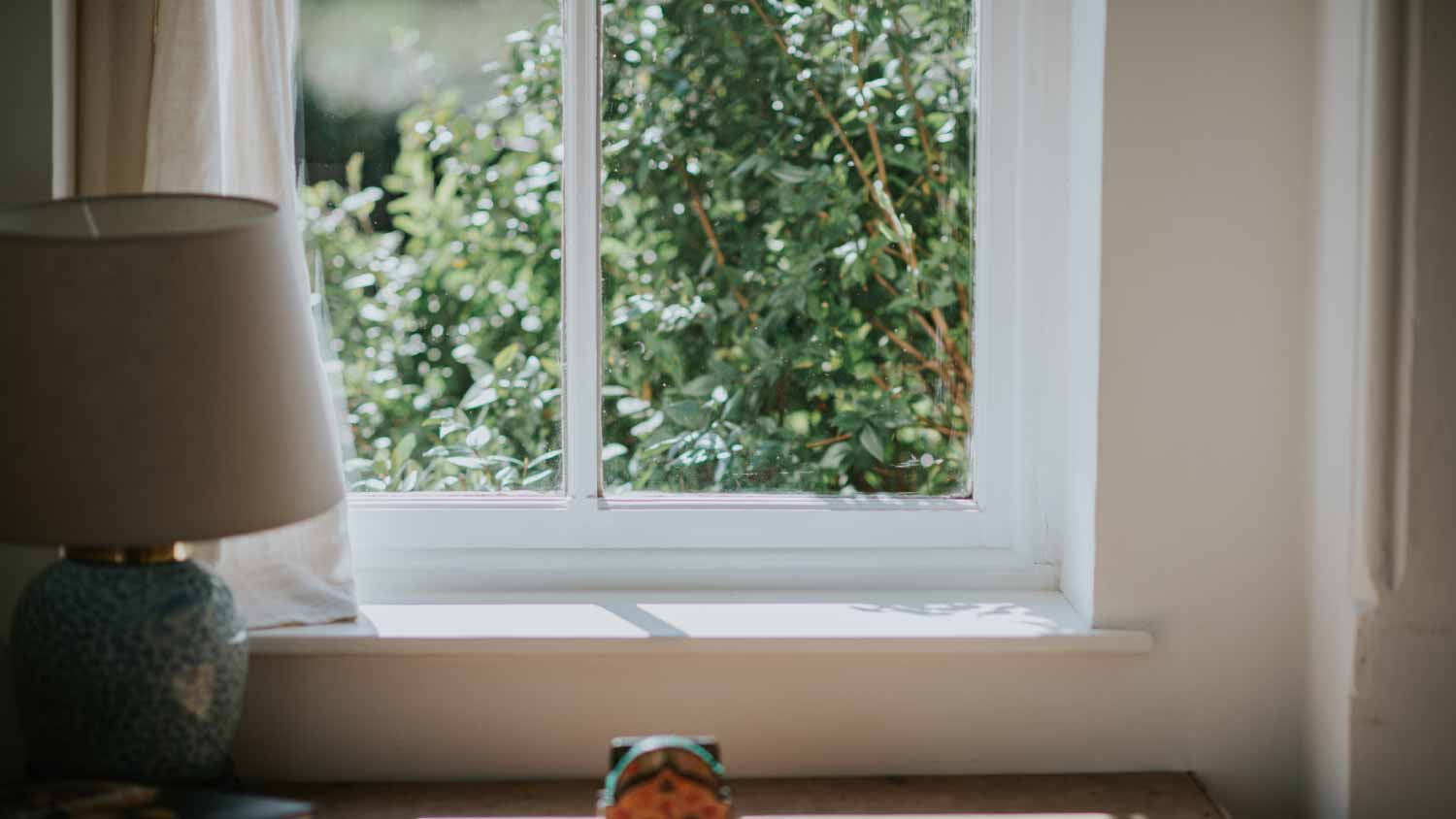 A living room window showing greenery outside.