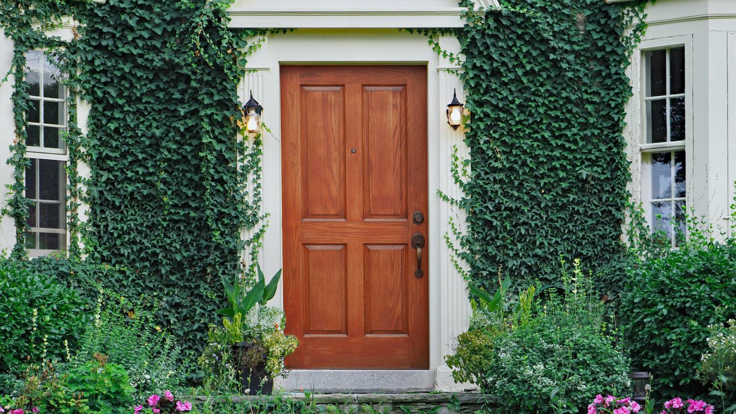A wooden front door on a vine covered house