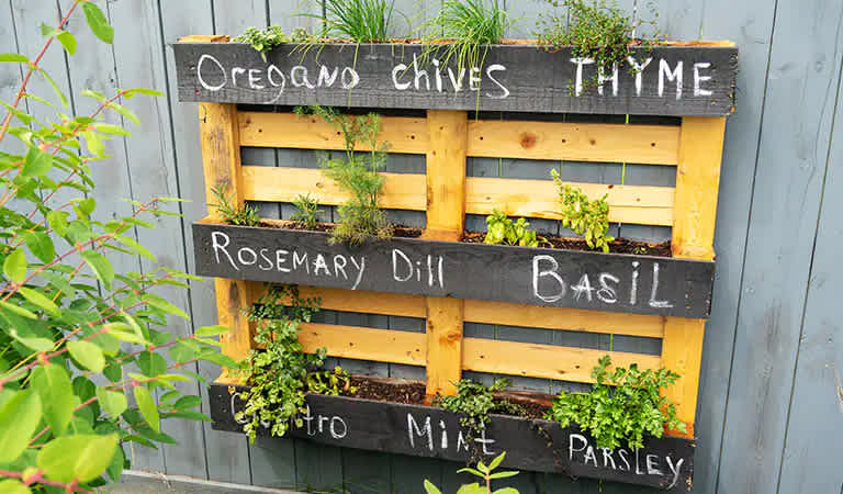 Pallet garden hung on fence