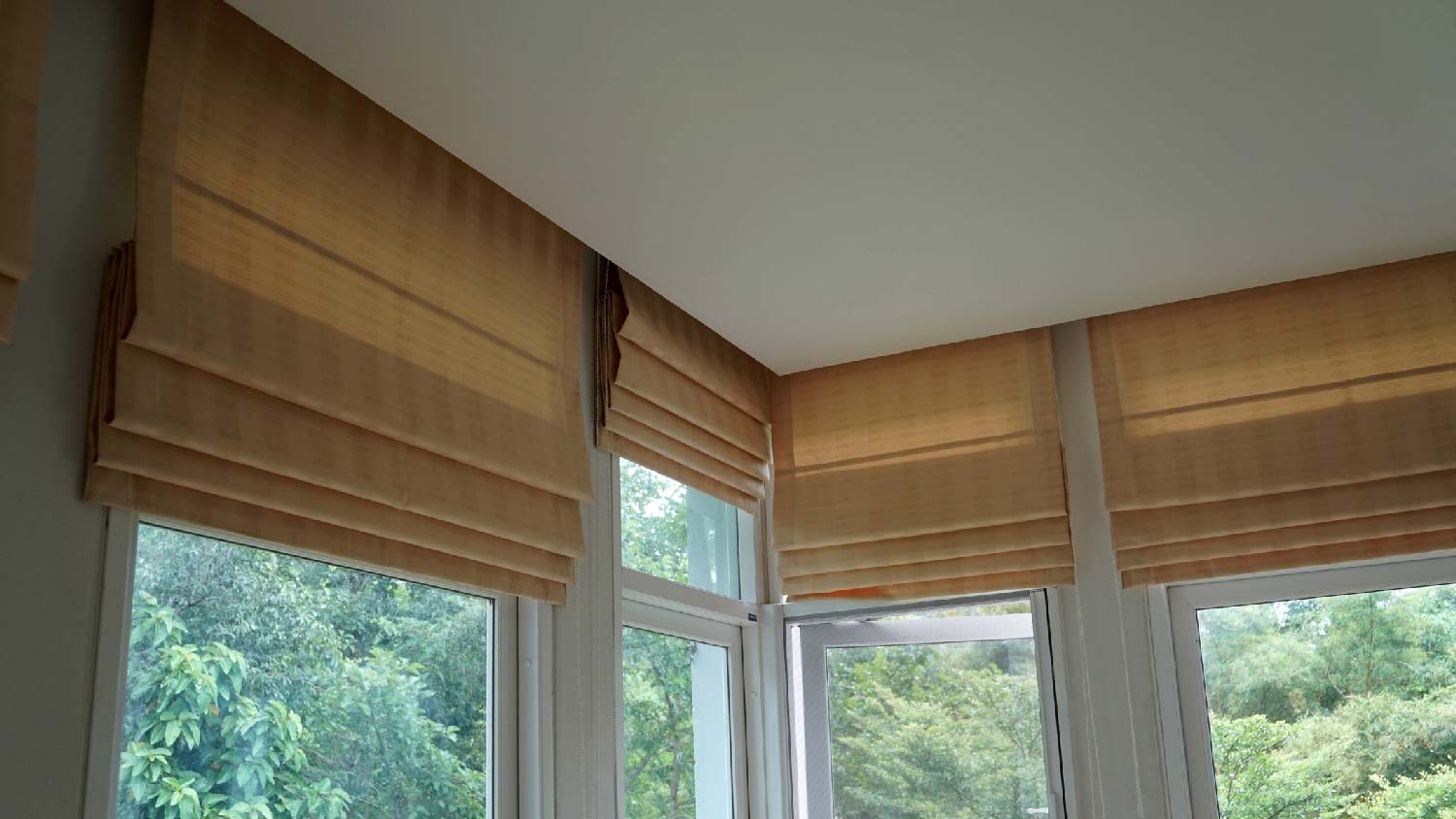 Windows with shades in a room overlooking at nature
