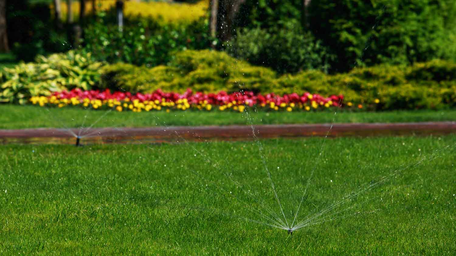 sprinkler spraying water in yard