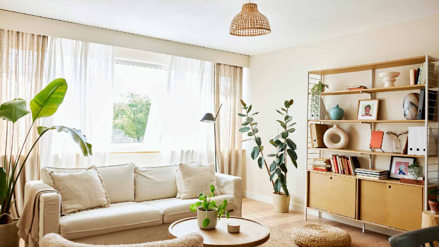 A living room painted in a bright color