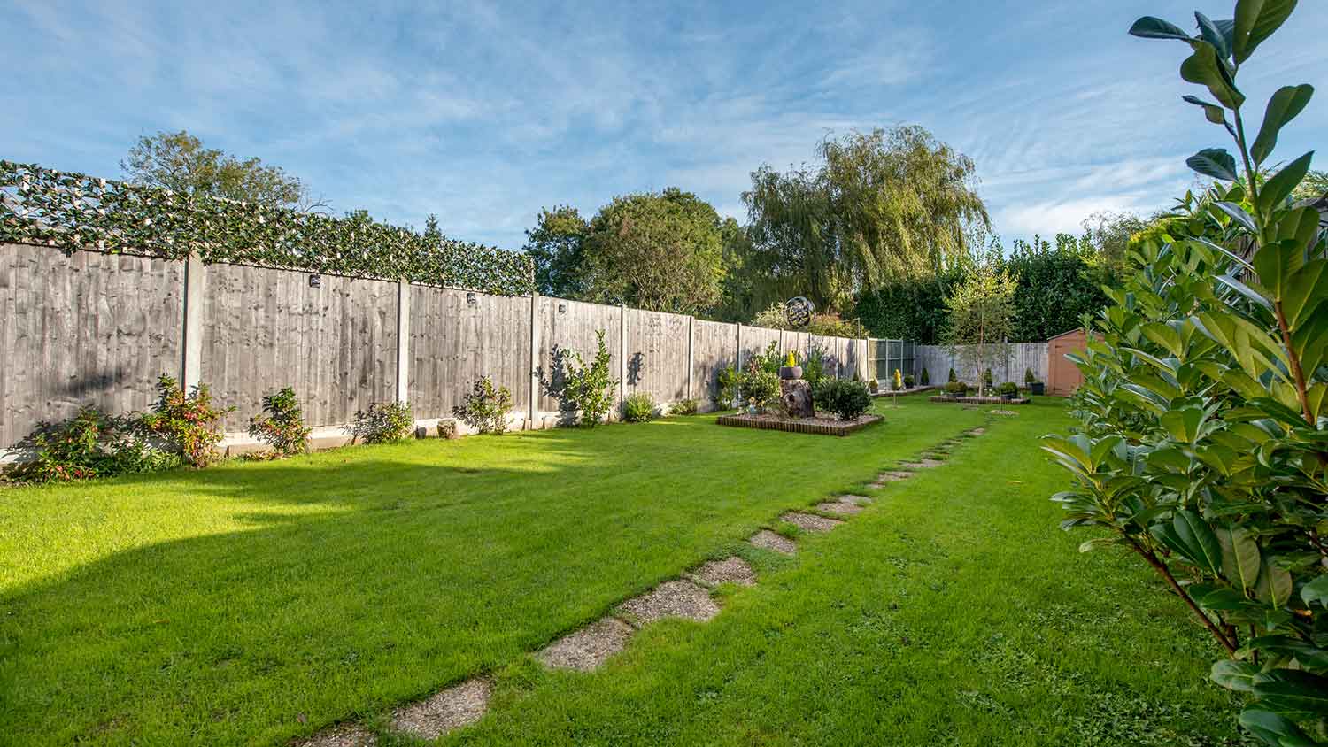 Moles in your yard are seldom seen