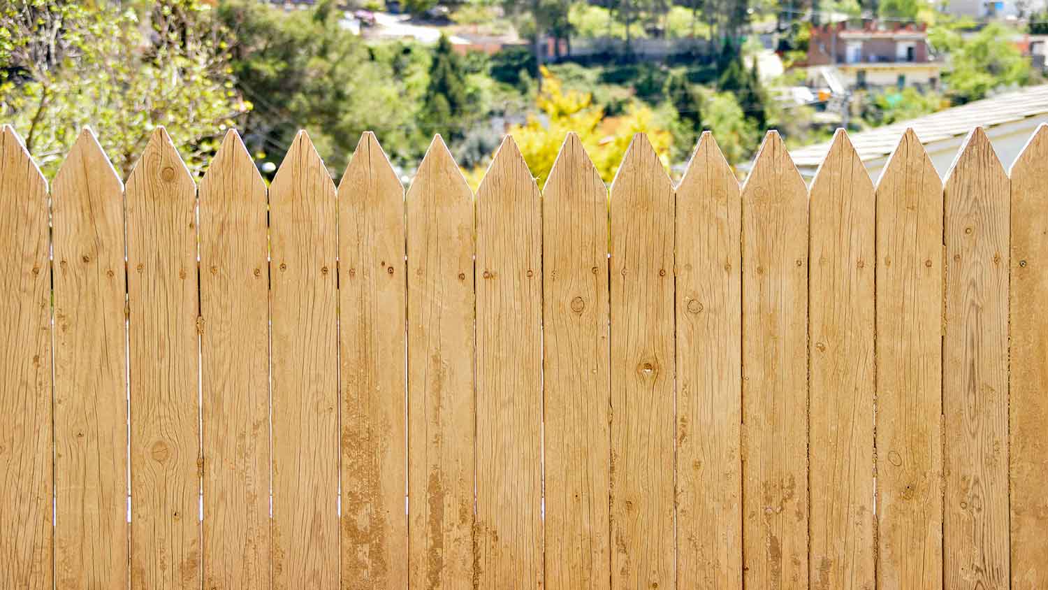 Detail of a wooden stockade fence in the yard