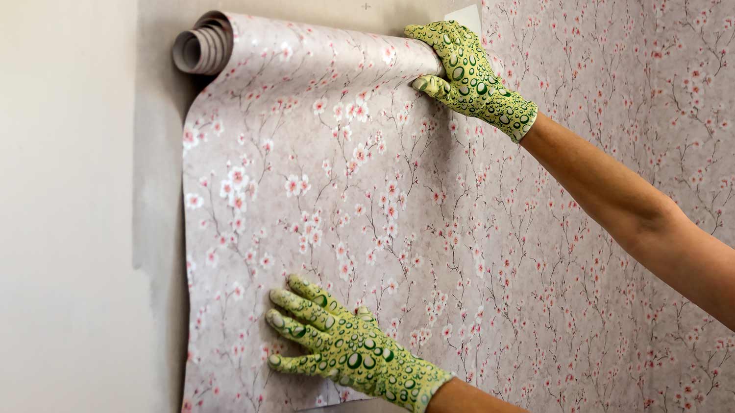 woman holding roll of wallpaper