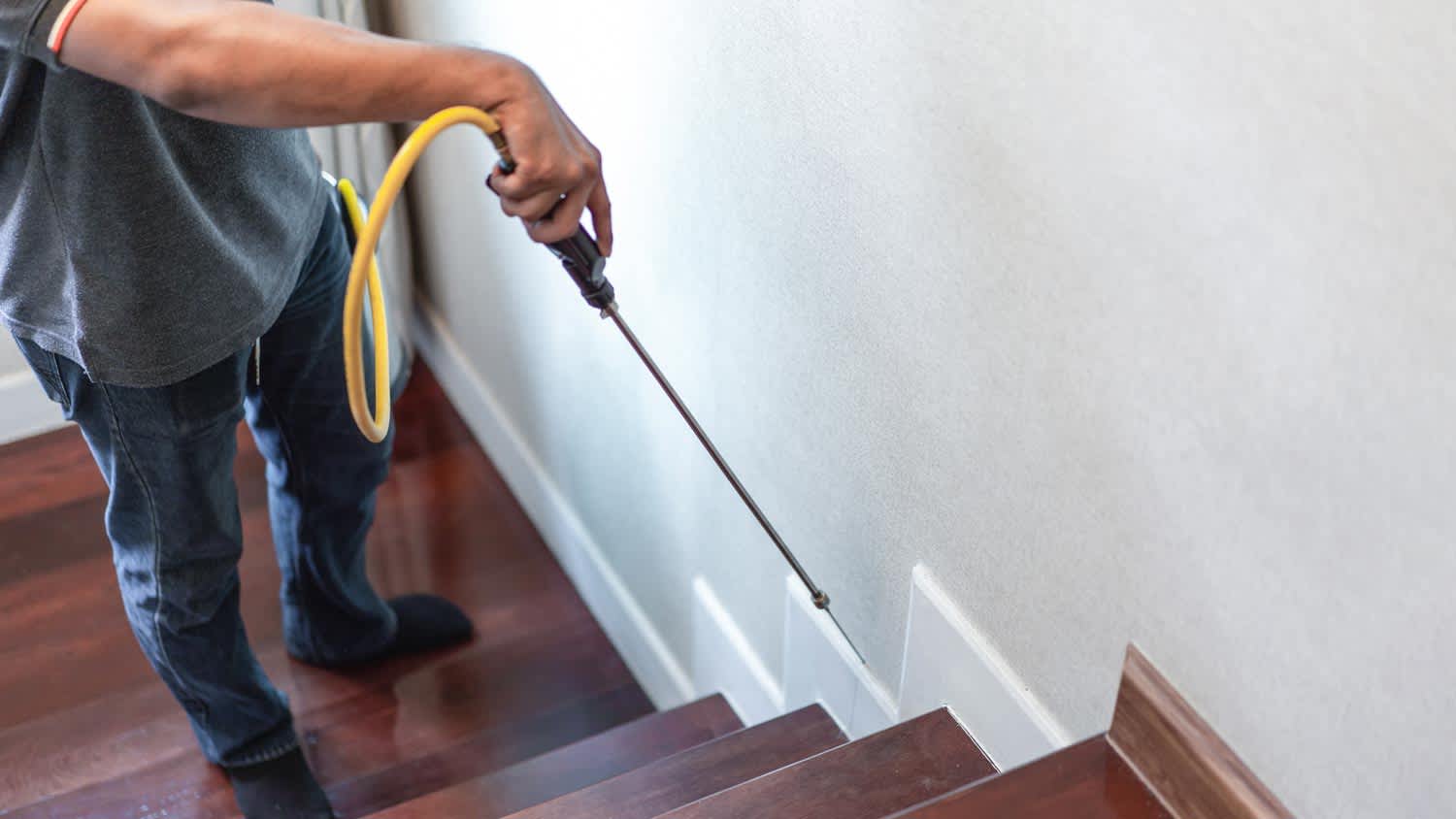 spraying liquid along steps for pest