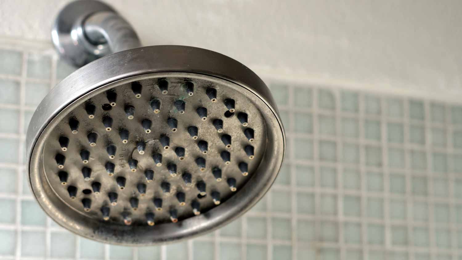 Close-up of an old showerhead.