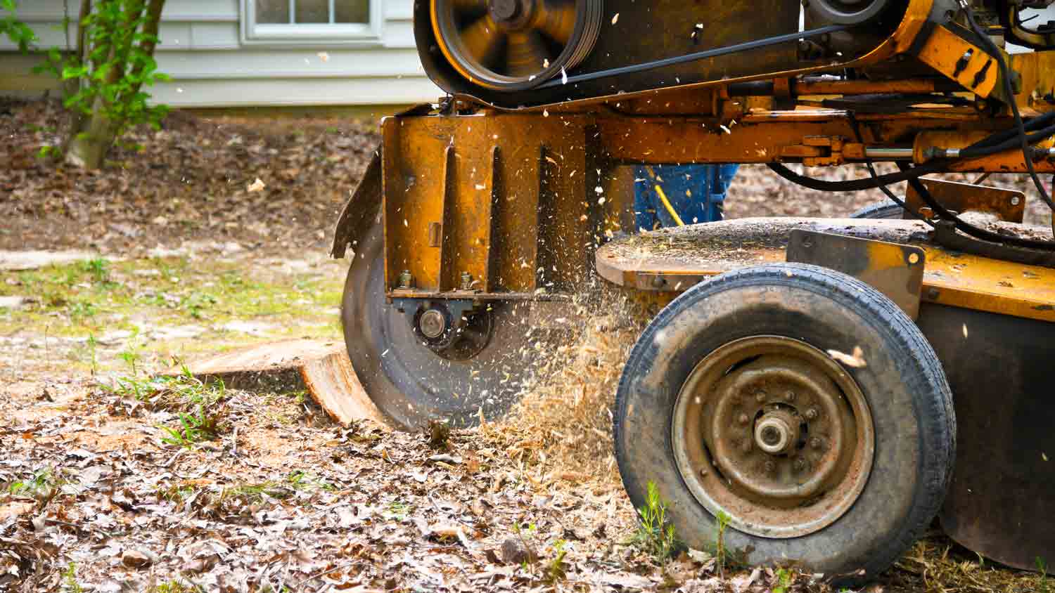 stump grinding machine