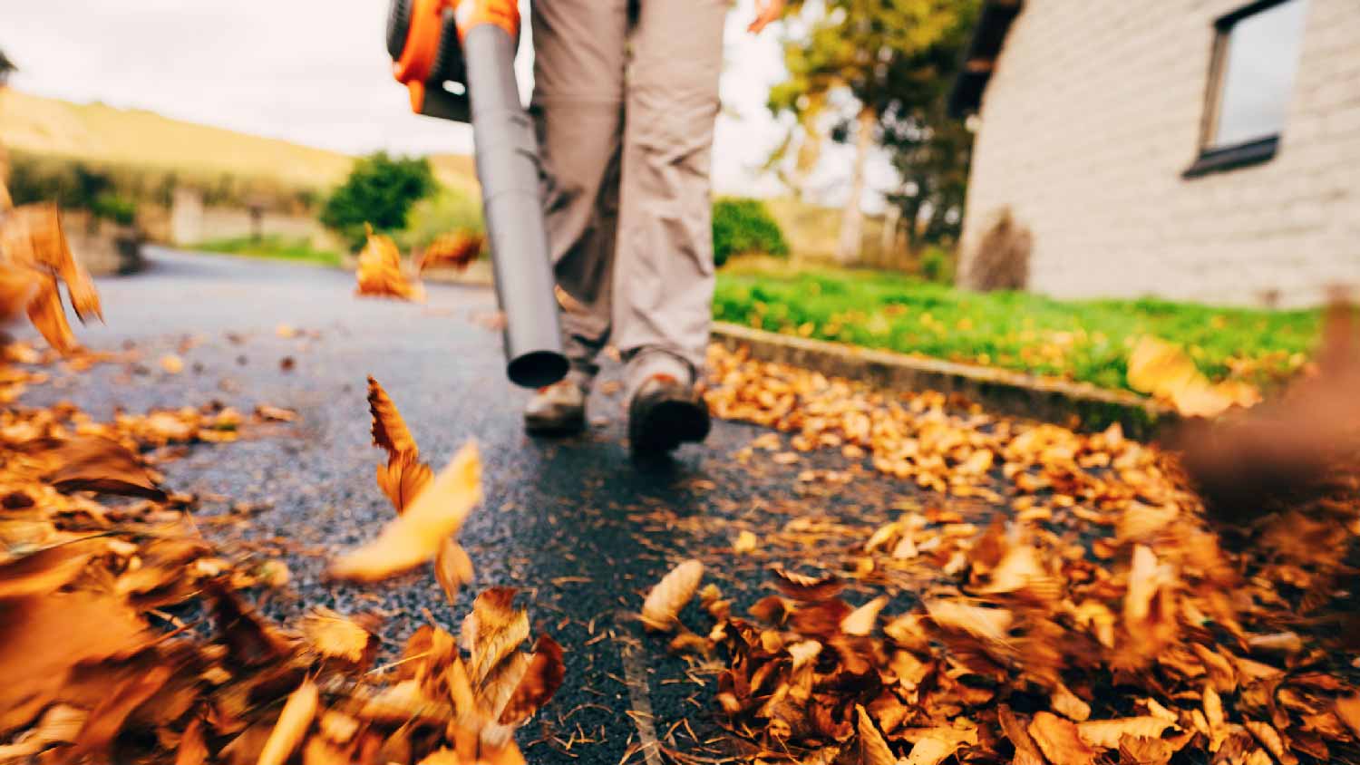 A person blowing leaves from the driveway