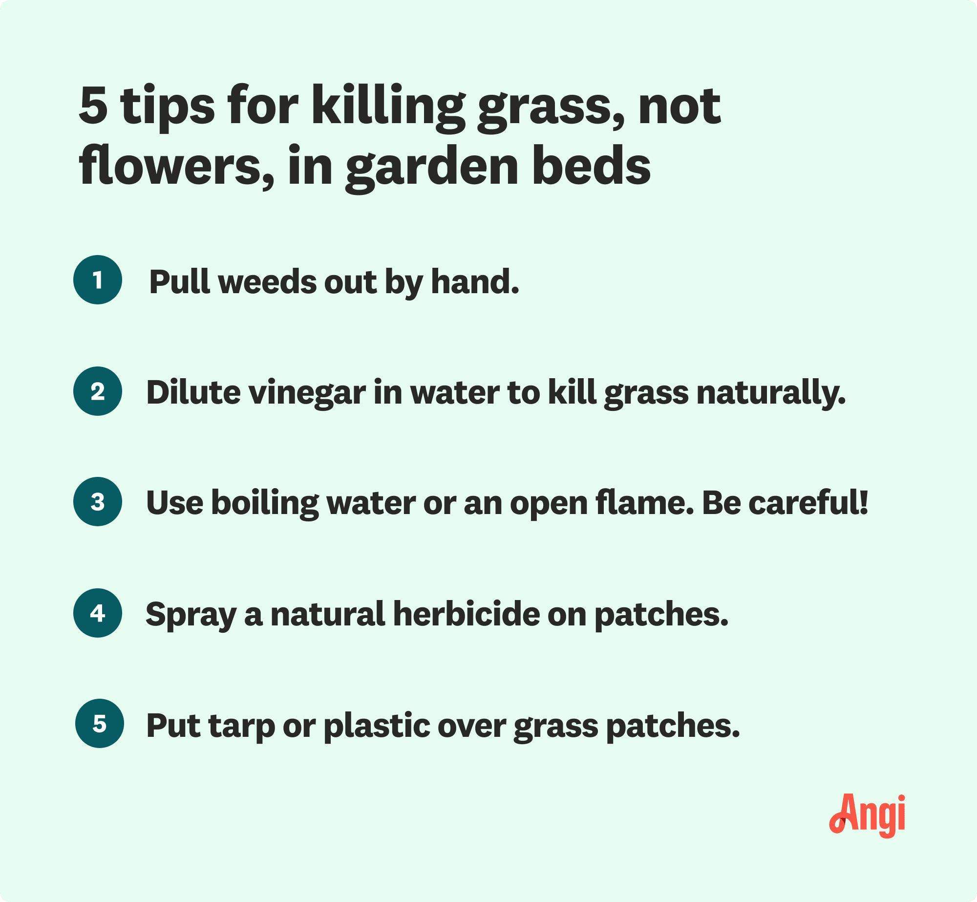 5 tips for killing grass, not flowers, in garden beds, including diluting vinegar in water to kill grass naturally