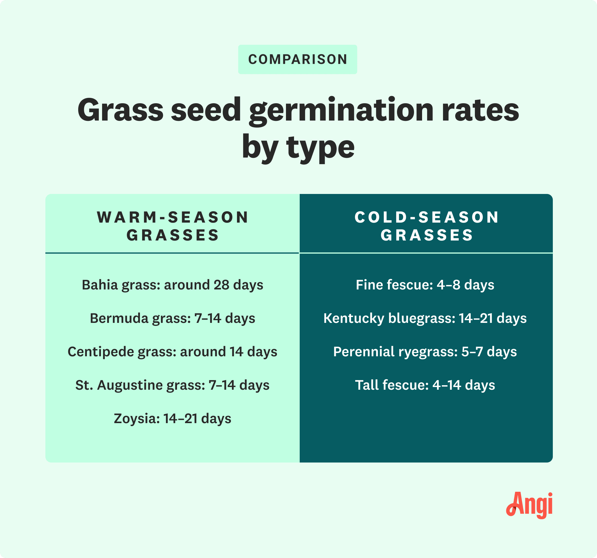 Comparison of warm-season and cold-season grass seed germination rates, with Bermuda grass taking 7-14 days to germinate