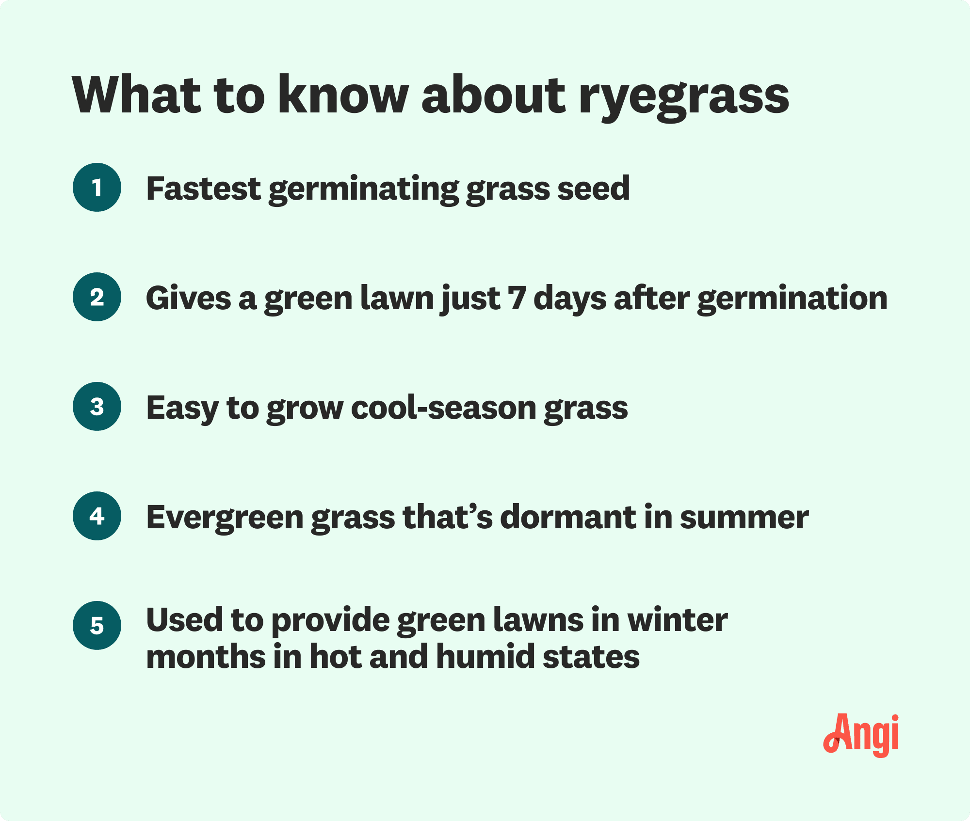 Five facts about ryegrass, including that it’s the fastest germinating grass seed