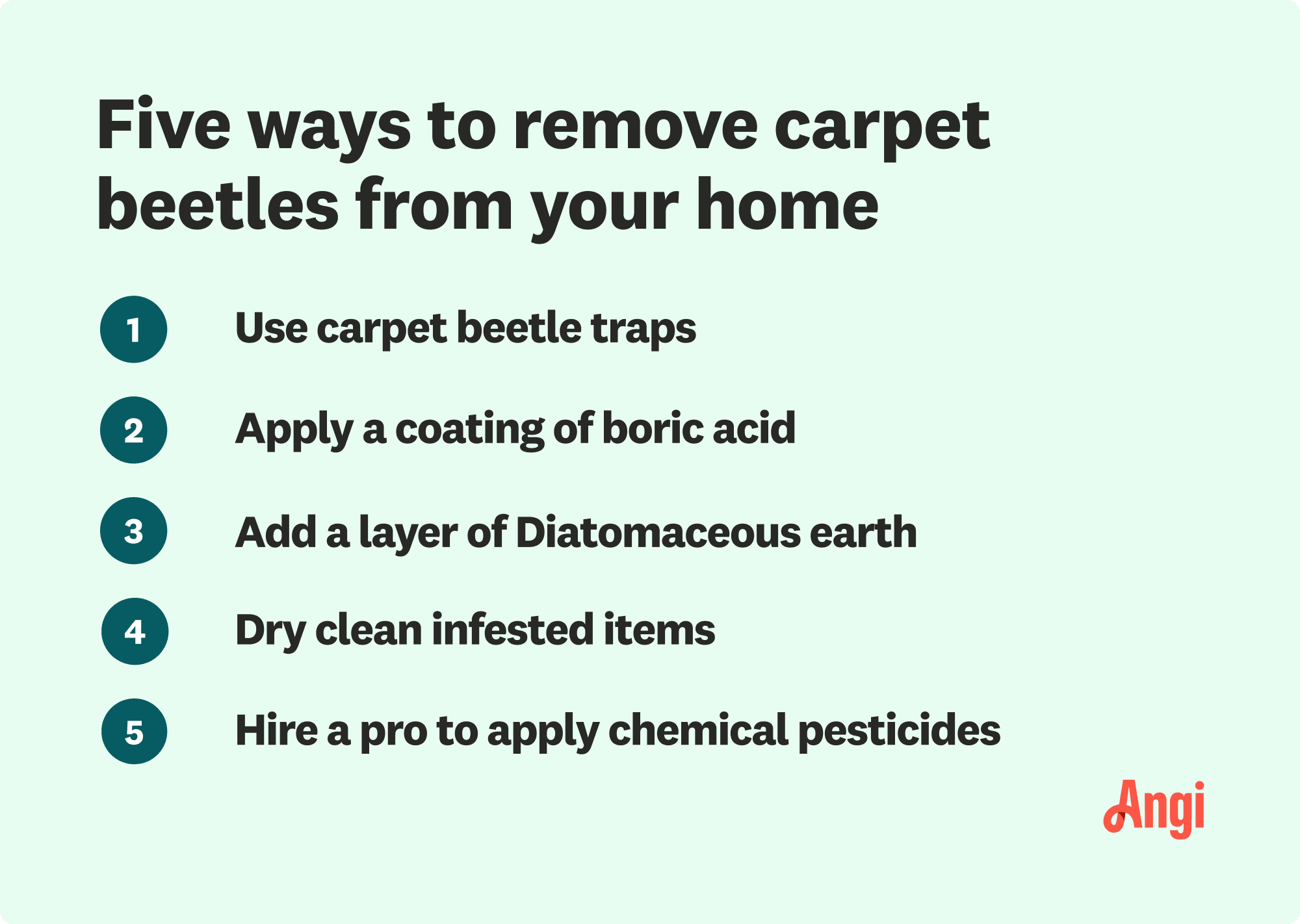 5 ways to remove carpet beetles, including applying a coat of boric acid and dry cleaning infested items