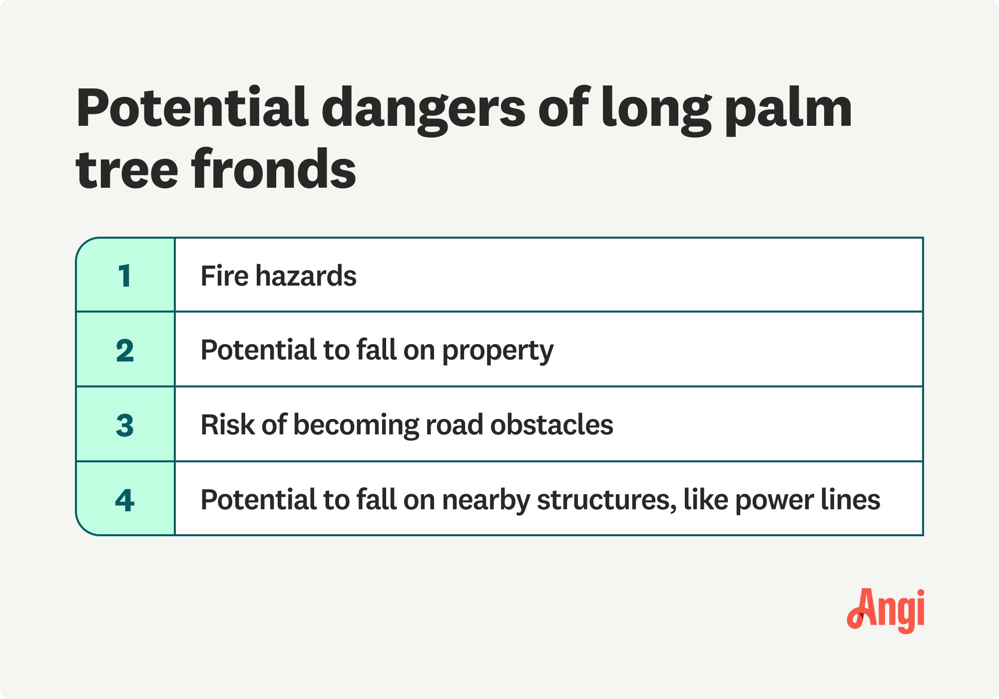 4 potential dangers of long palm tree fronds, including risk of becoming road obstacles