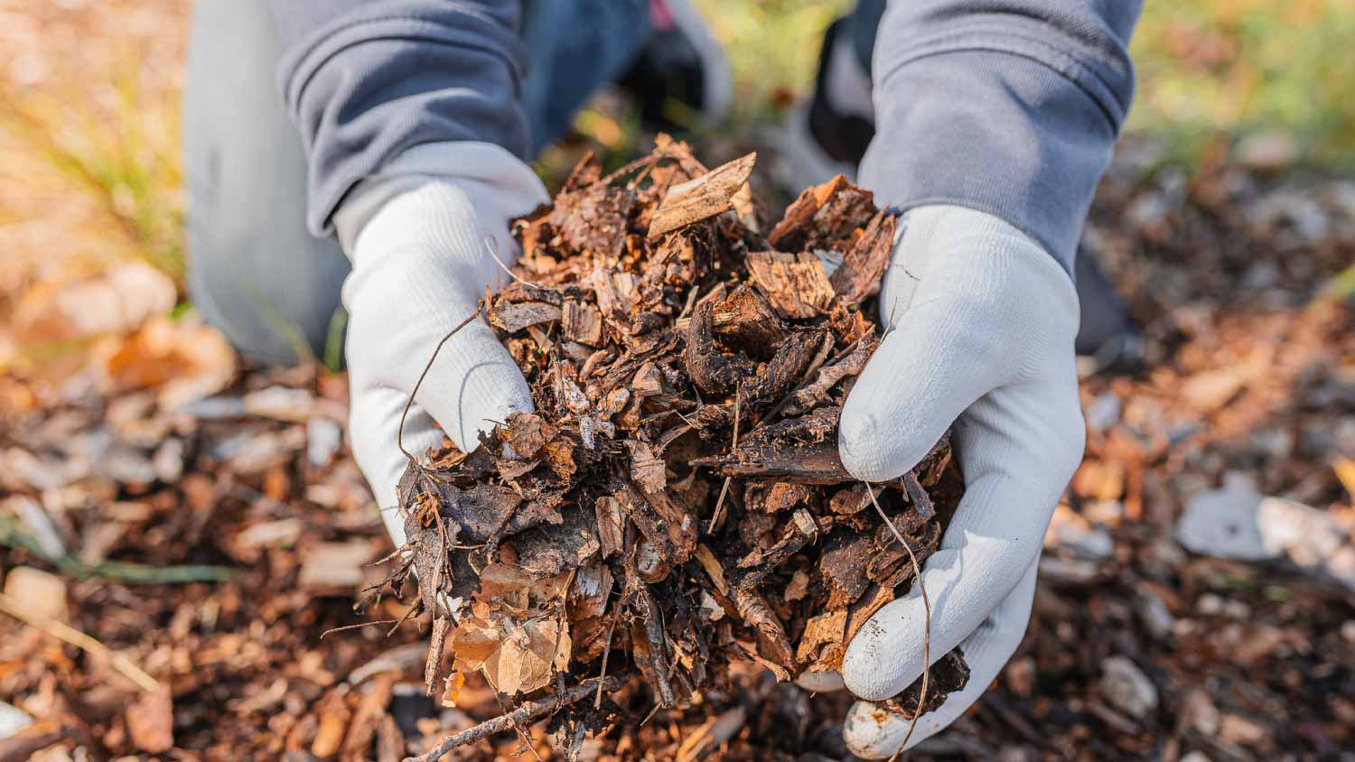 Man composting organic waste
