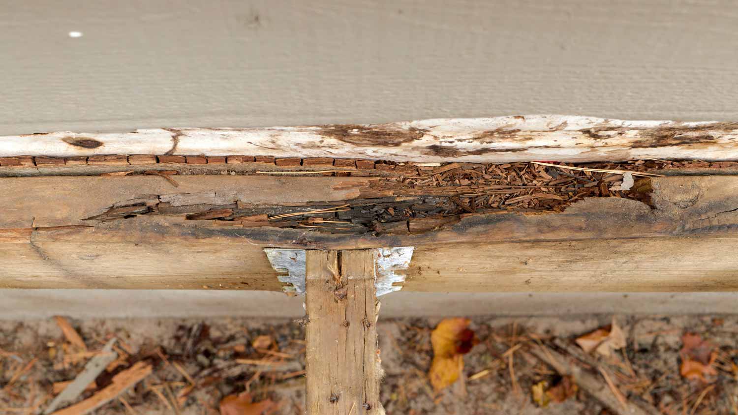 Damaged deck ledger board