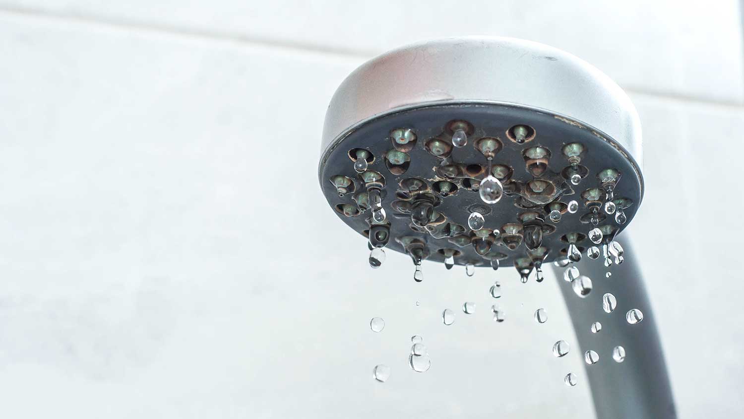 Closeup-of-a-leaky handheld showerhead