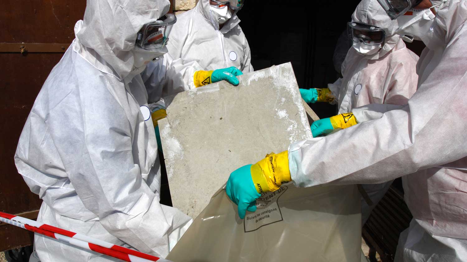 Asbestos chrysotile fibers