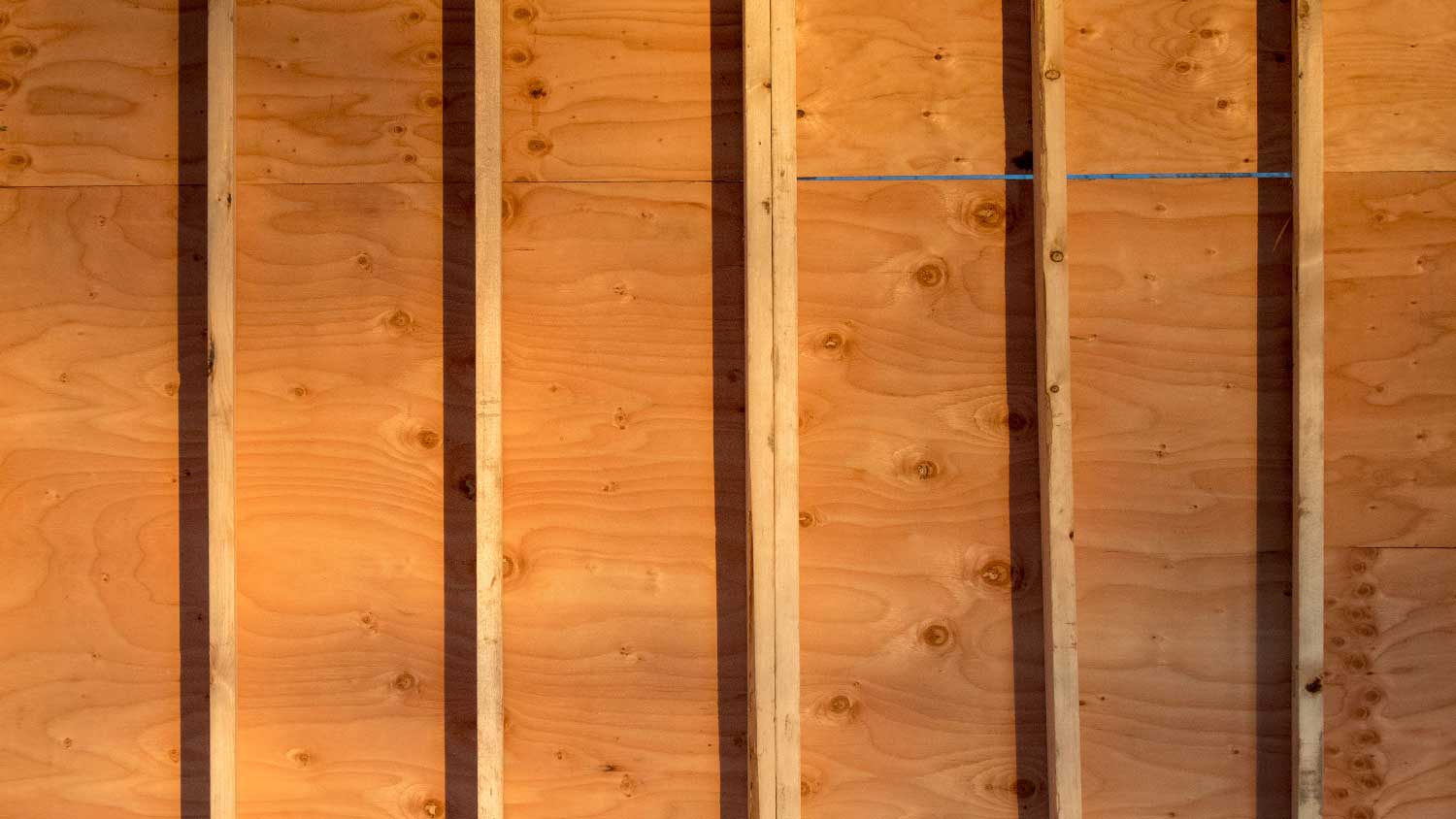 Close-up of wood studs