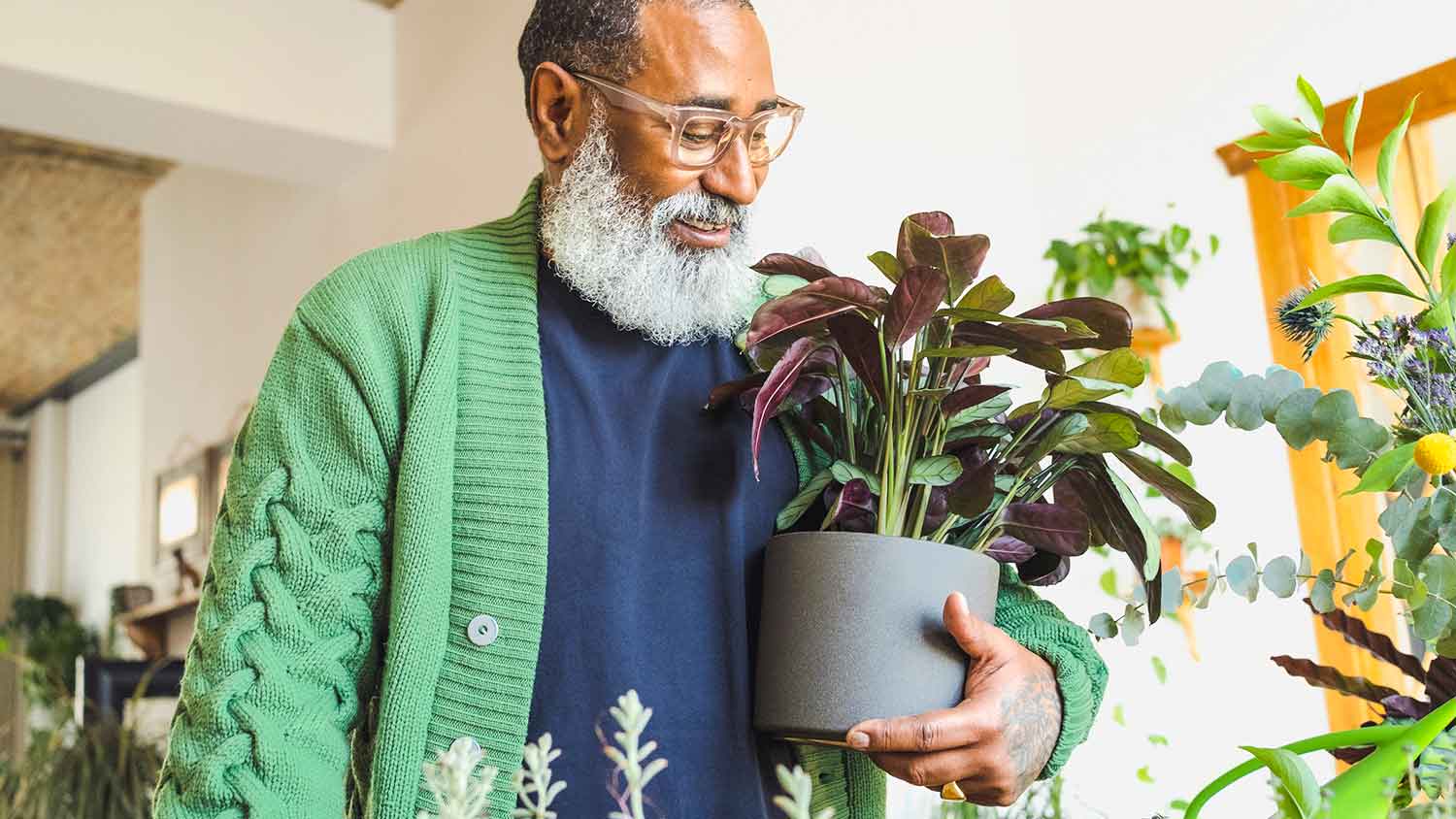 Man taking a potted plant indoors