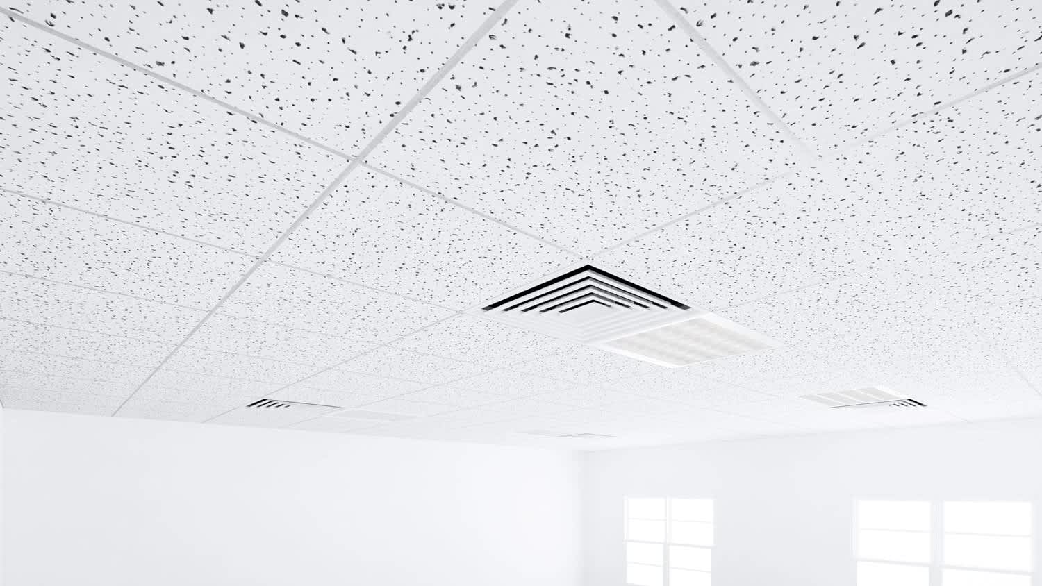 White ceiling grid.