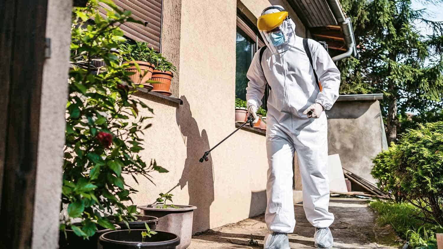 Professional spraying pesticide on a residential patio