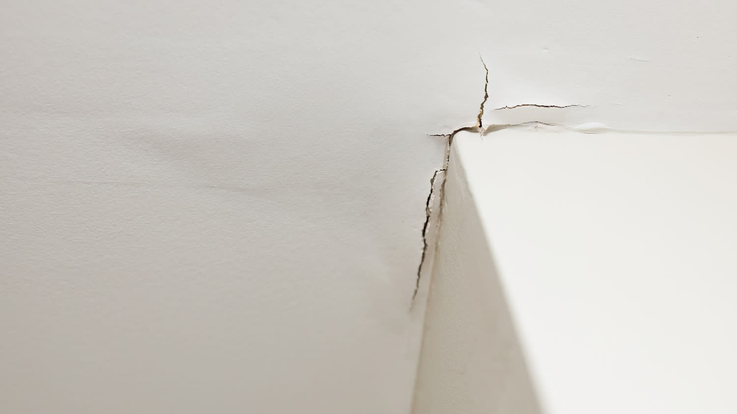Ceiling Damaged By Water From Roof Leak