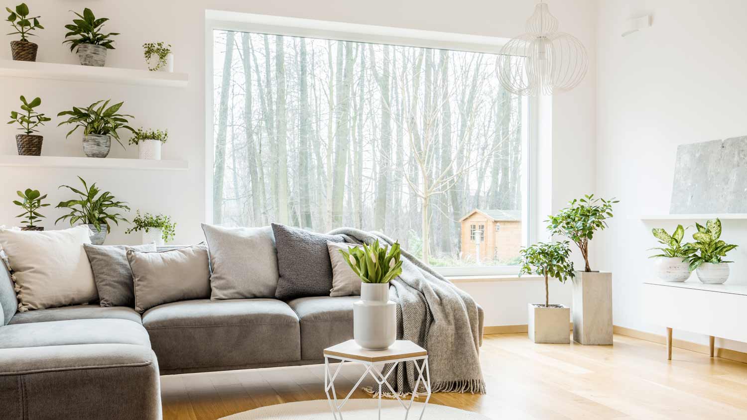 living room with picture window