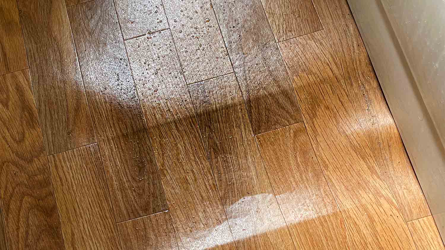 Warped wood floor boards