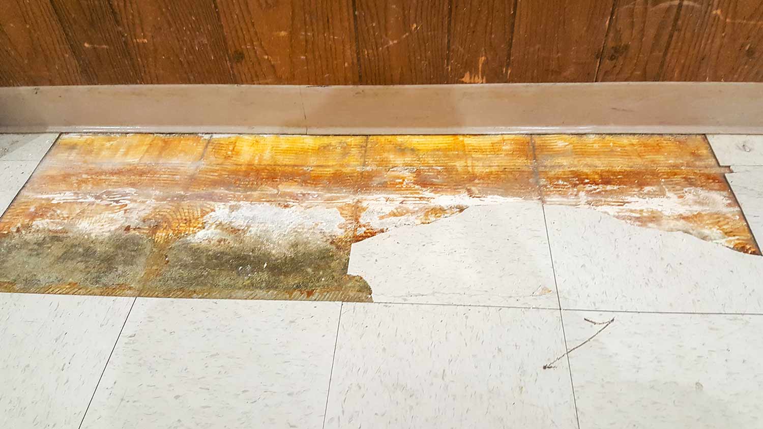 Water damage under floor tiles